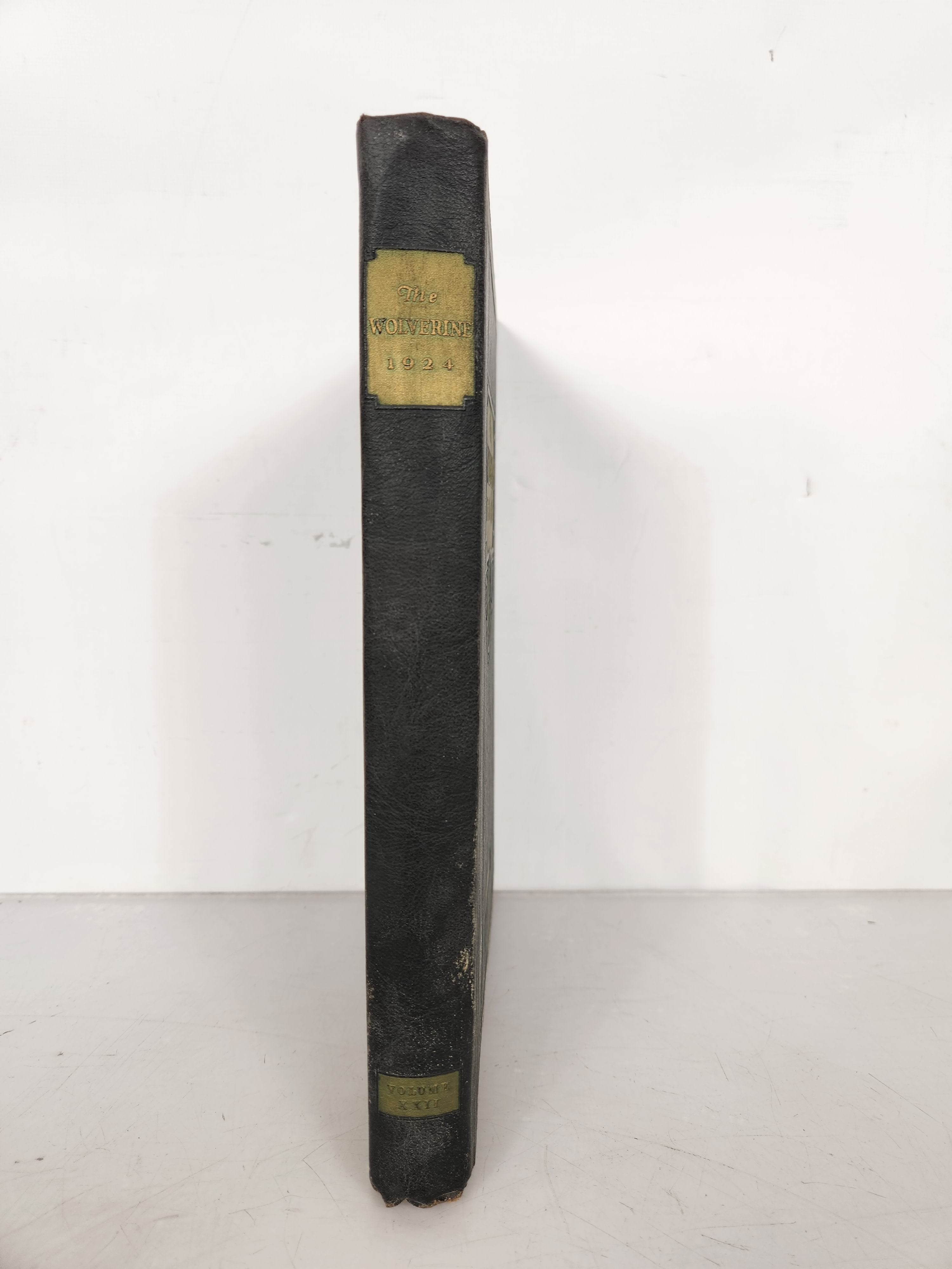 1924 Michigan Agricultural College Yearbook Wolverine