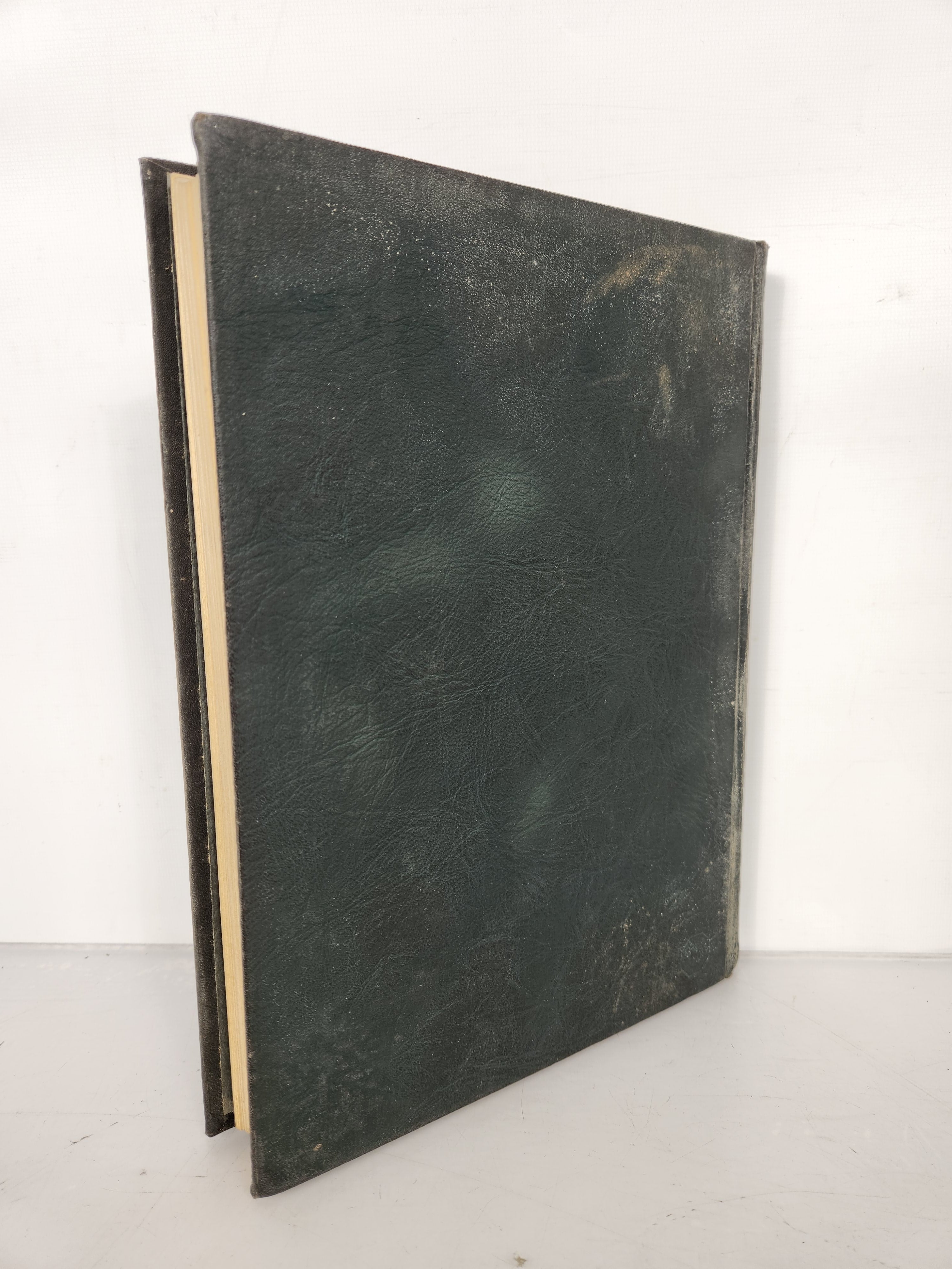 1924 Michigan Agricultural College Yearbook Wolverine