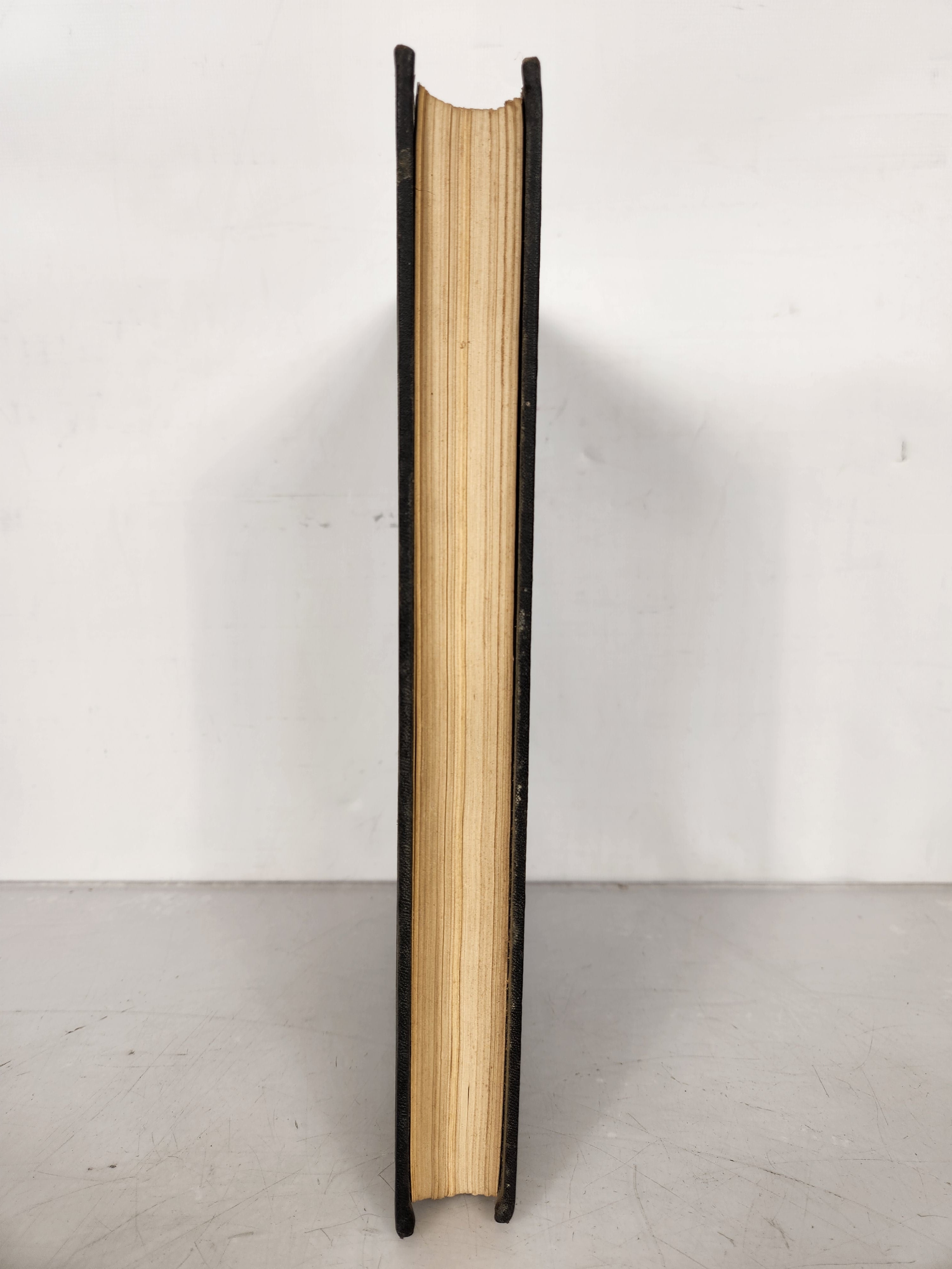 1924 Michigan Agricultural College Yearbook Wolverine