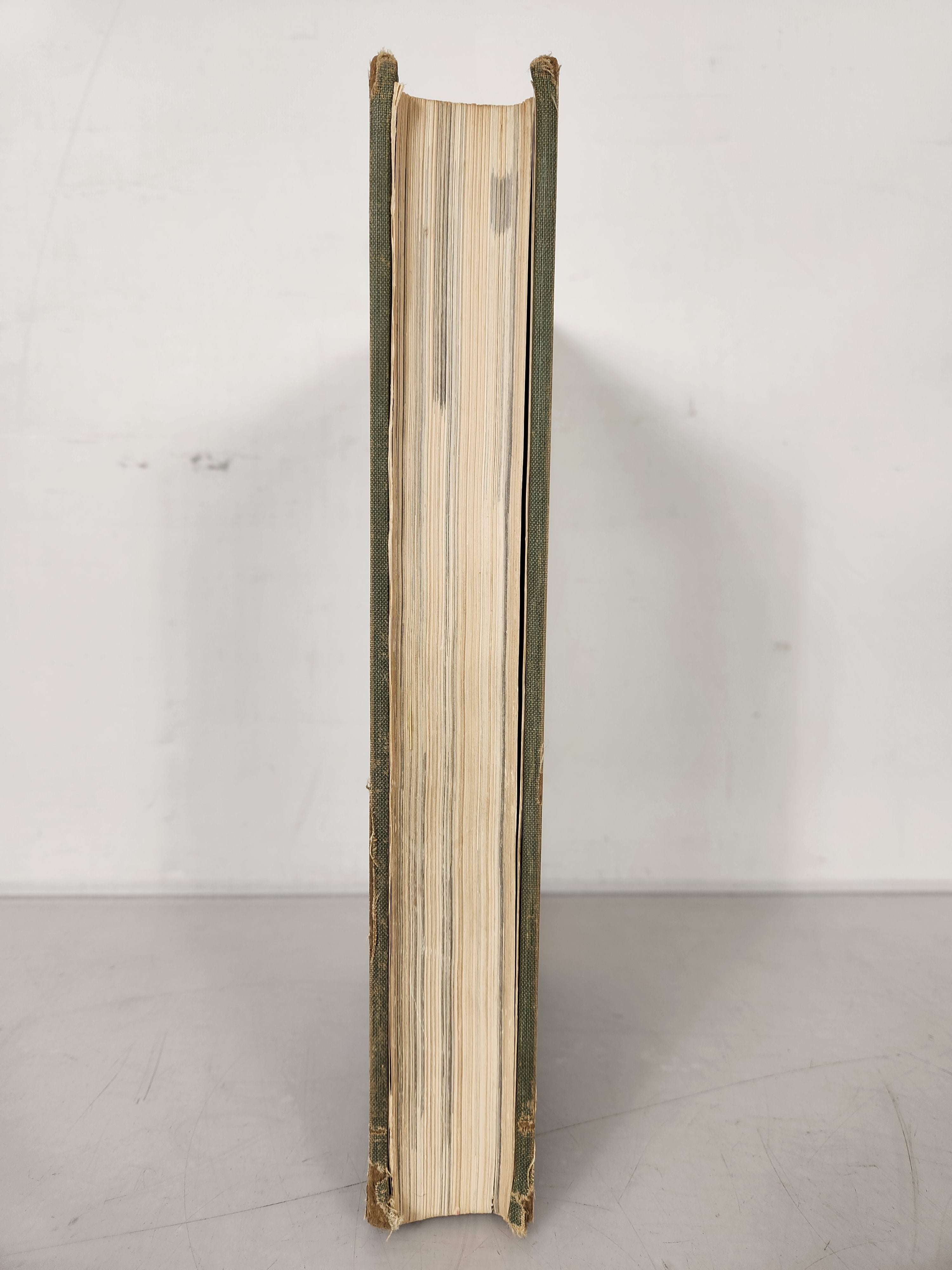 1950 Michigan State College Yearbook Wolverine