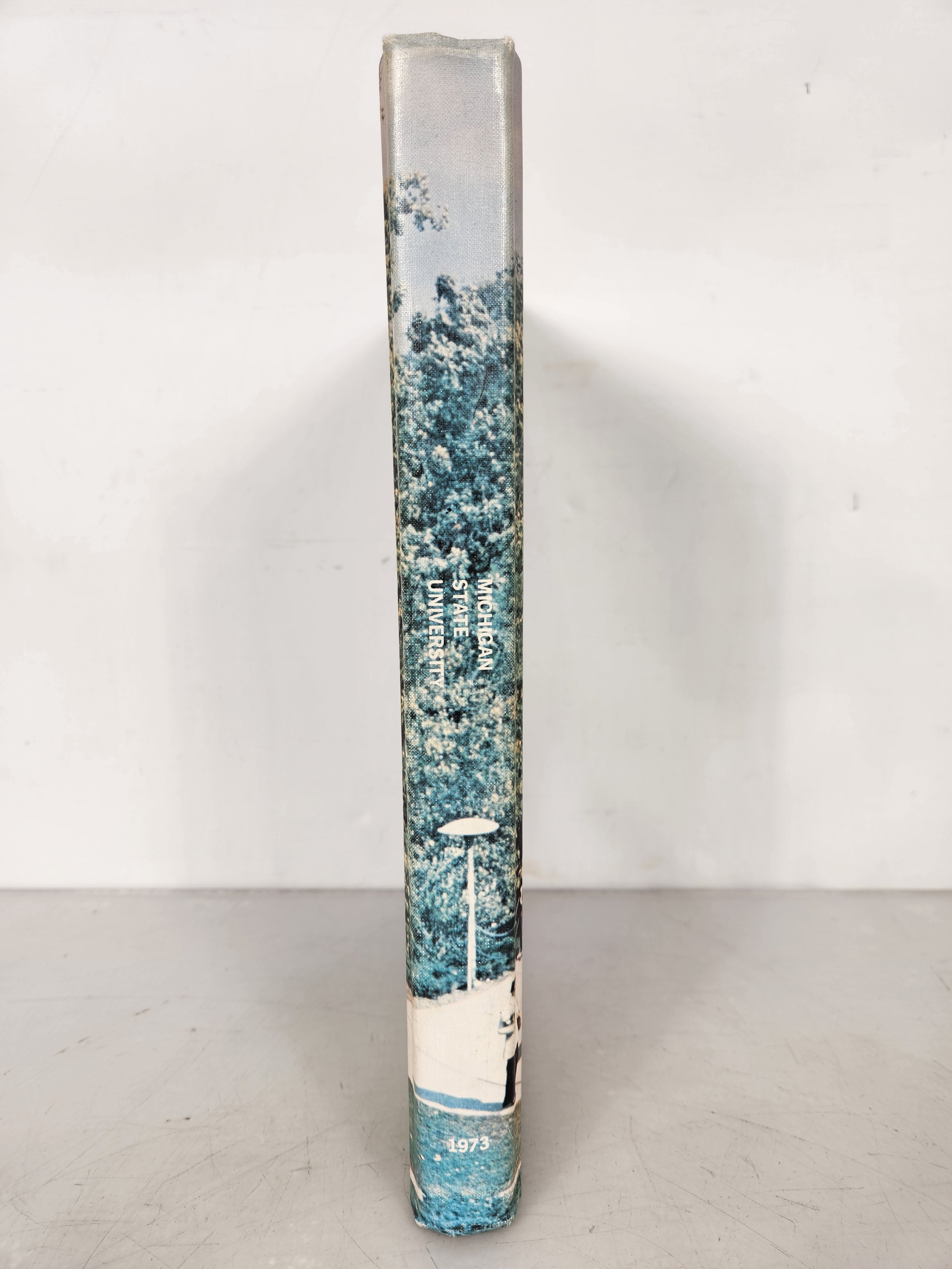 1973 Michigan State University Yearbook Wolverine