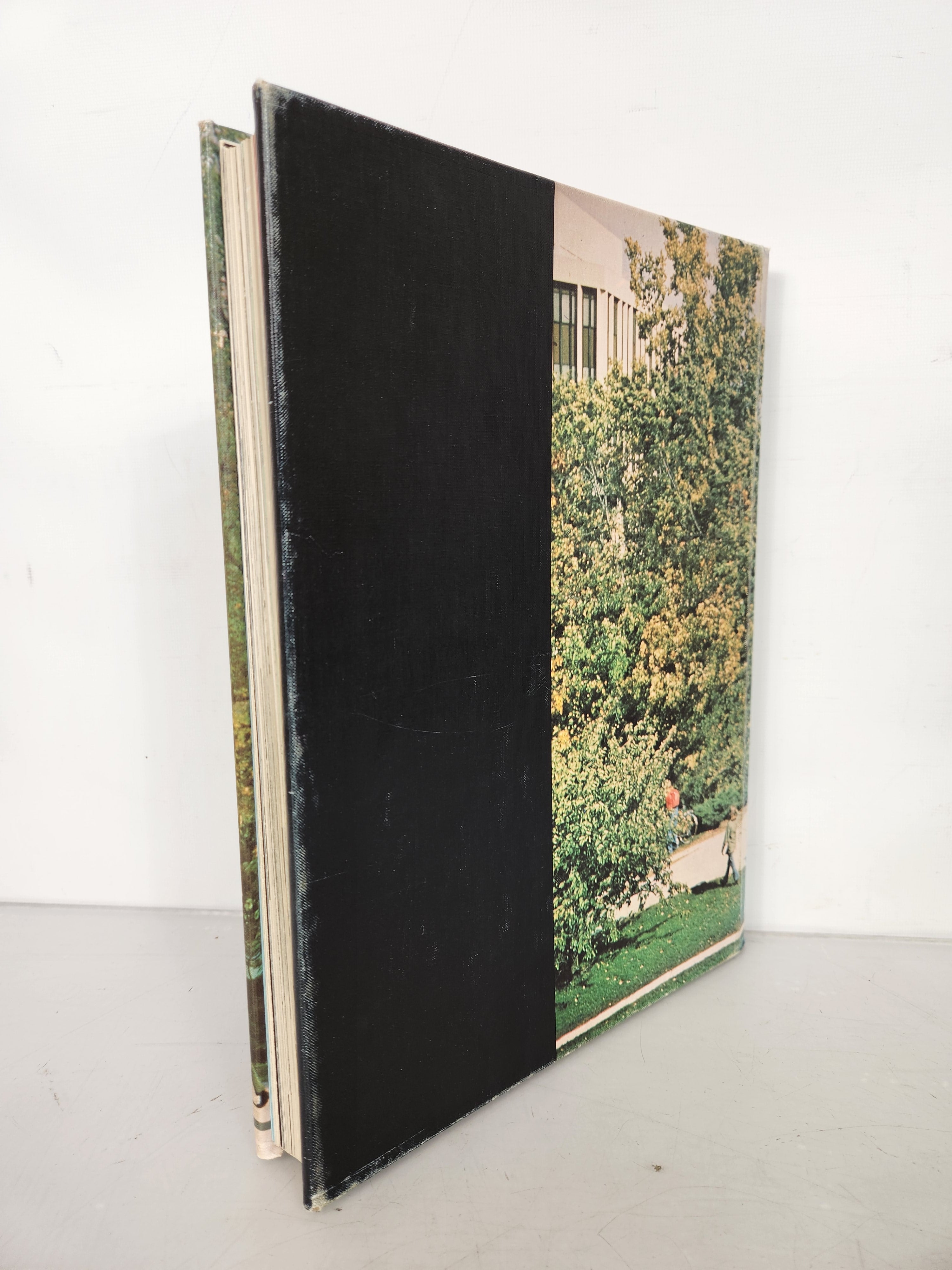 1973 Michigan State University Yearbook Wolverine