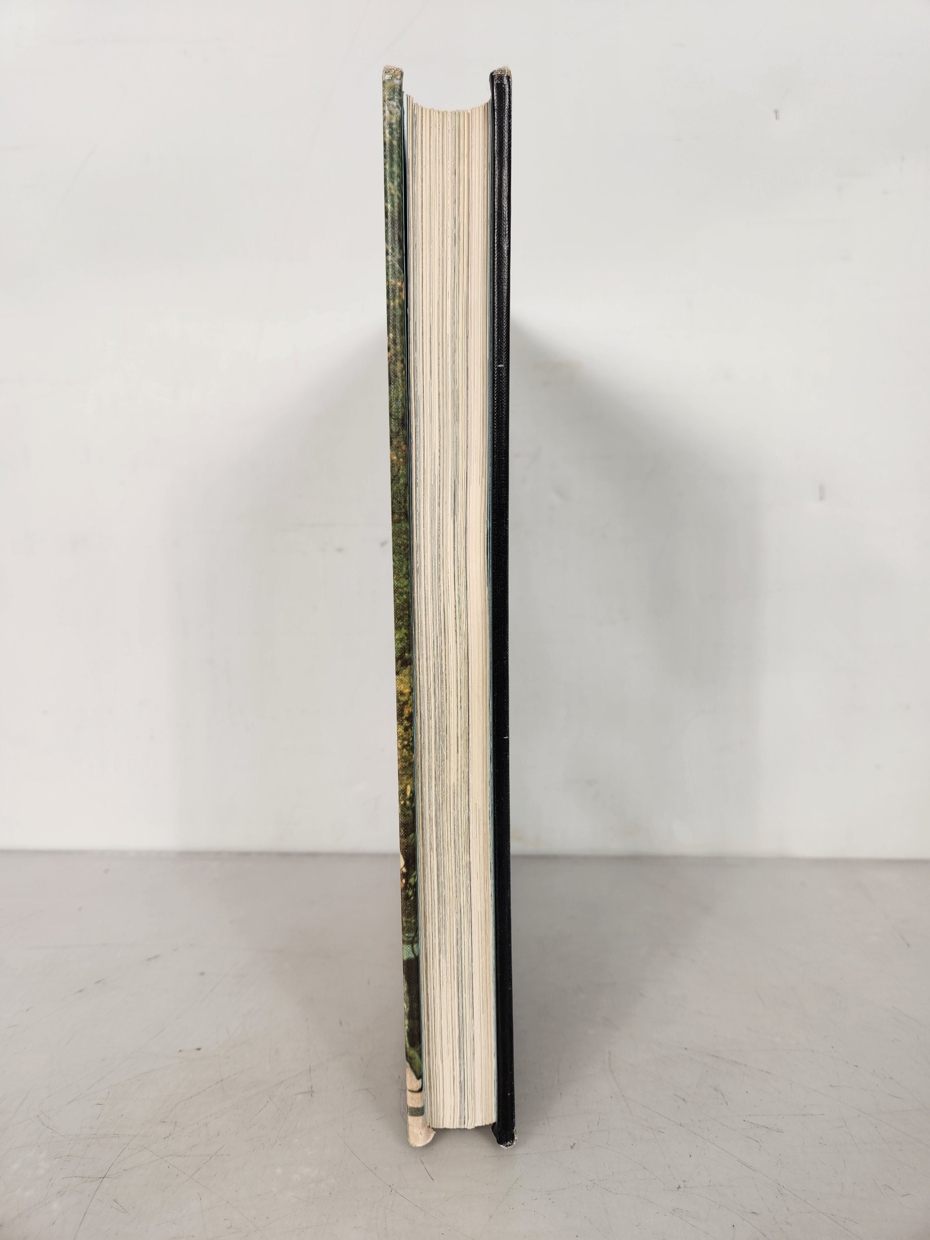 1973 Michigan State University Yearbook Wolverine