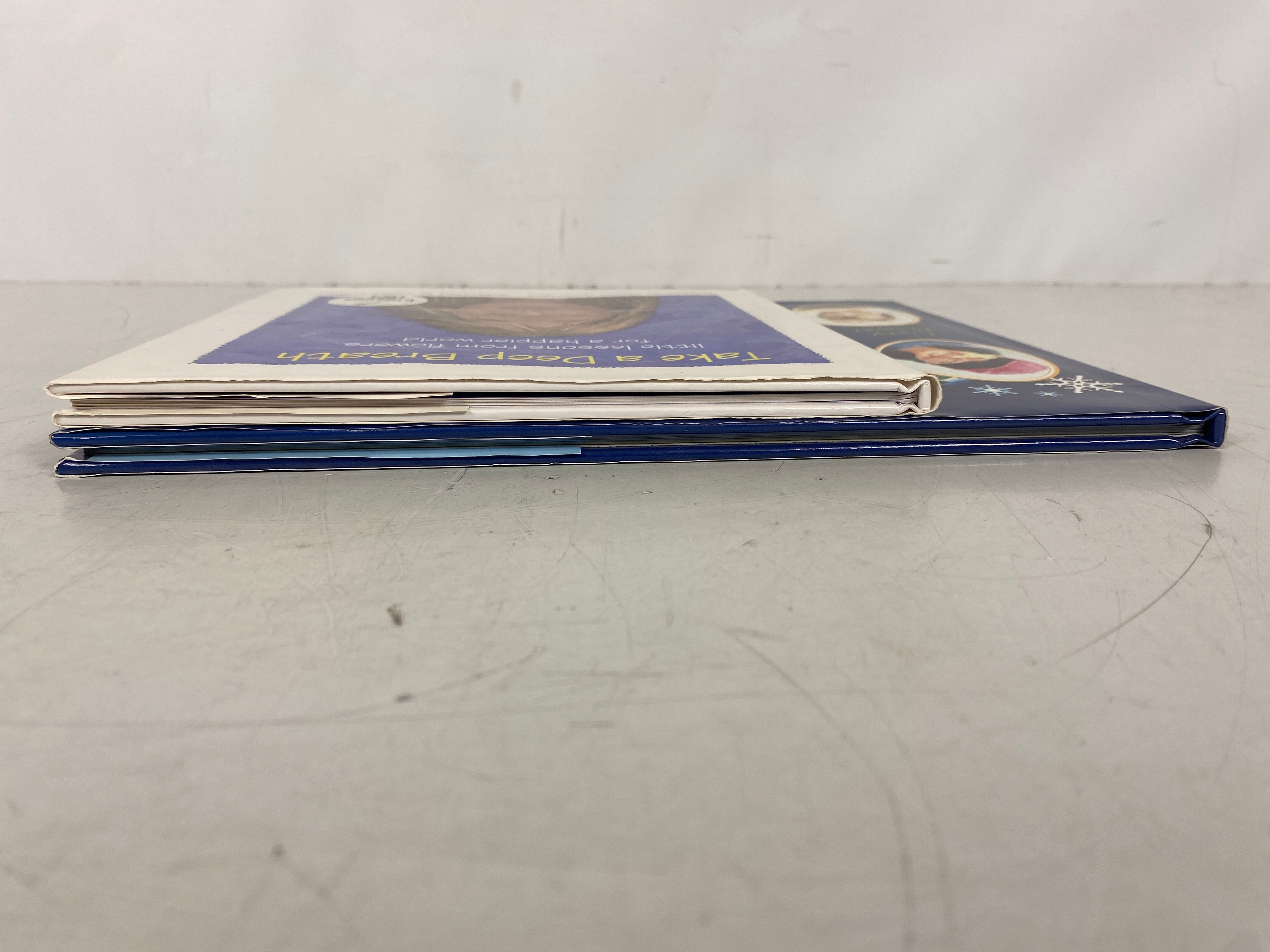 2 Signed Vols: I'm a Michigan Kid (Bower)/Take a Deep Breath (Stoutland) HCDJ