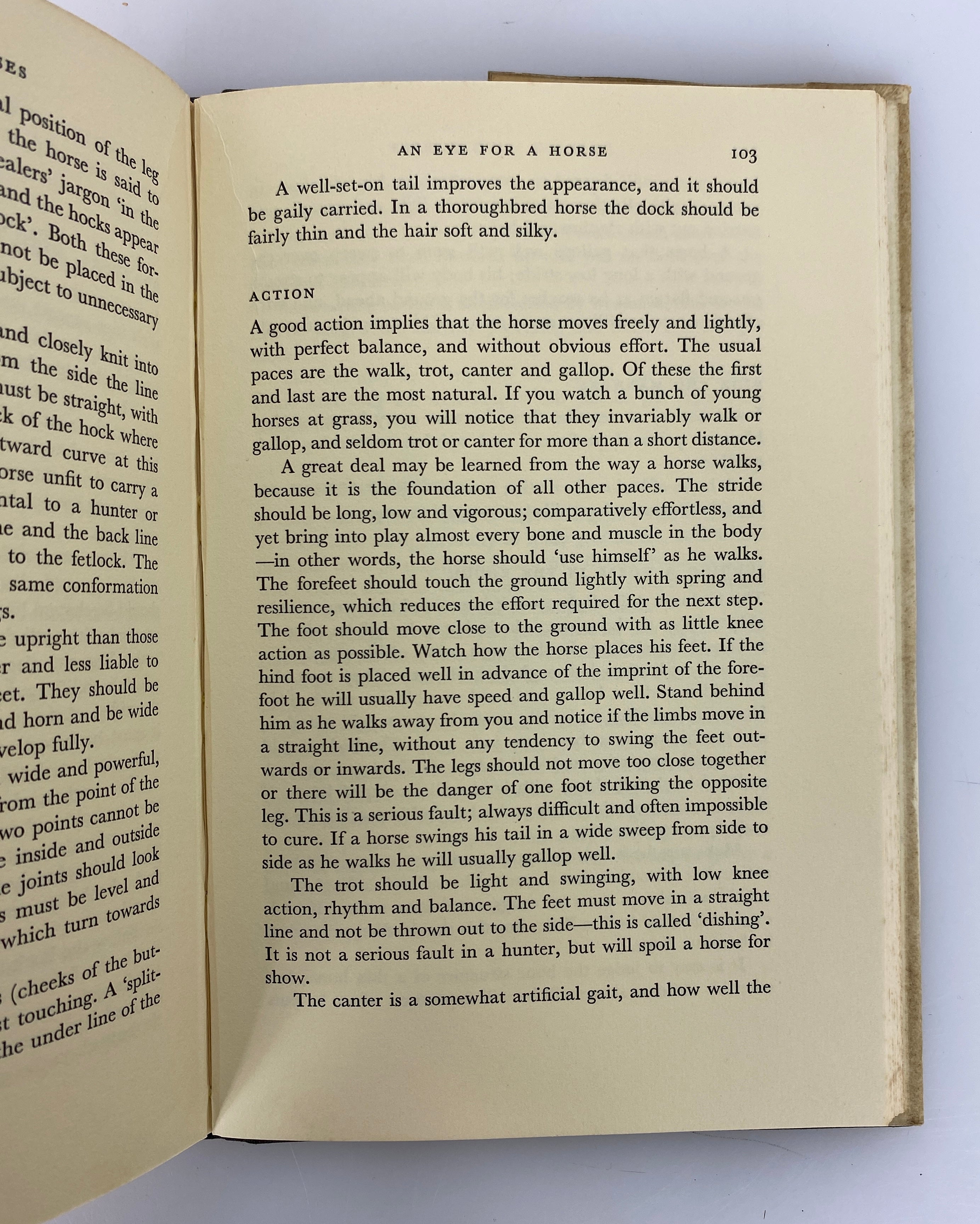 2 Vols: Off to the Races by Blanche/Dealing With Horses by Kelly 1947-61 HC DJ