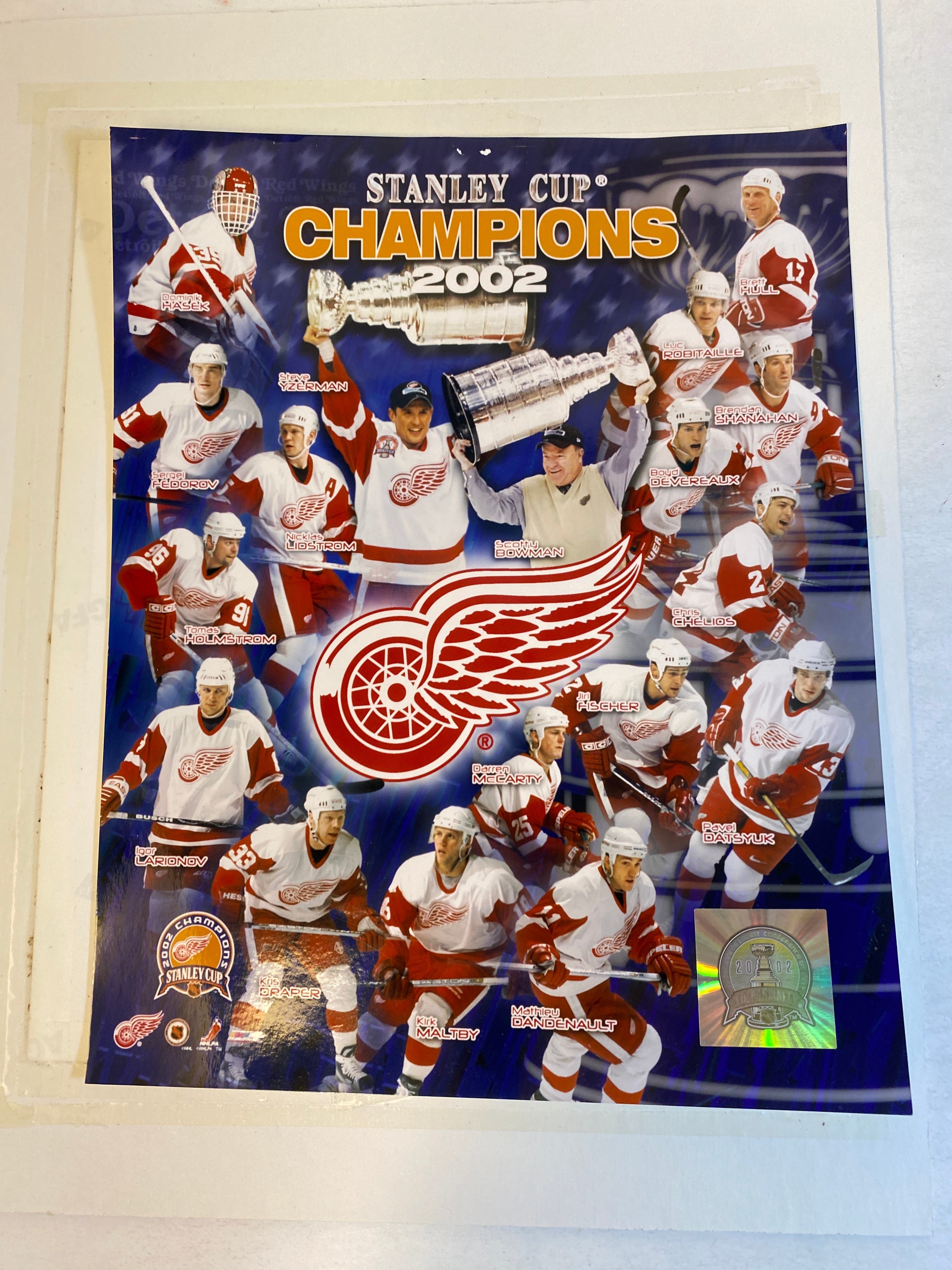 Lot of 5 Red Wings Stanley Cup Fan Collectibles 2002