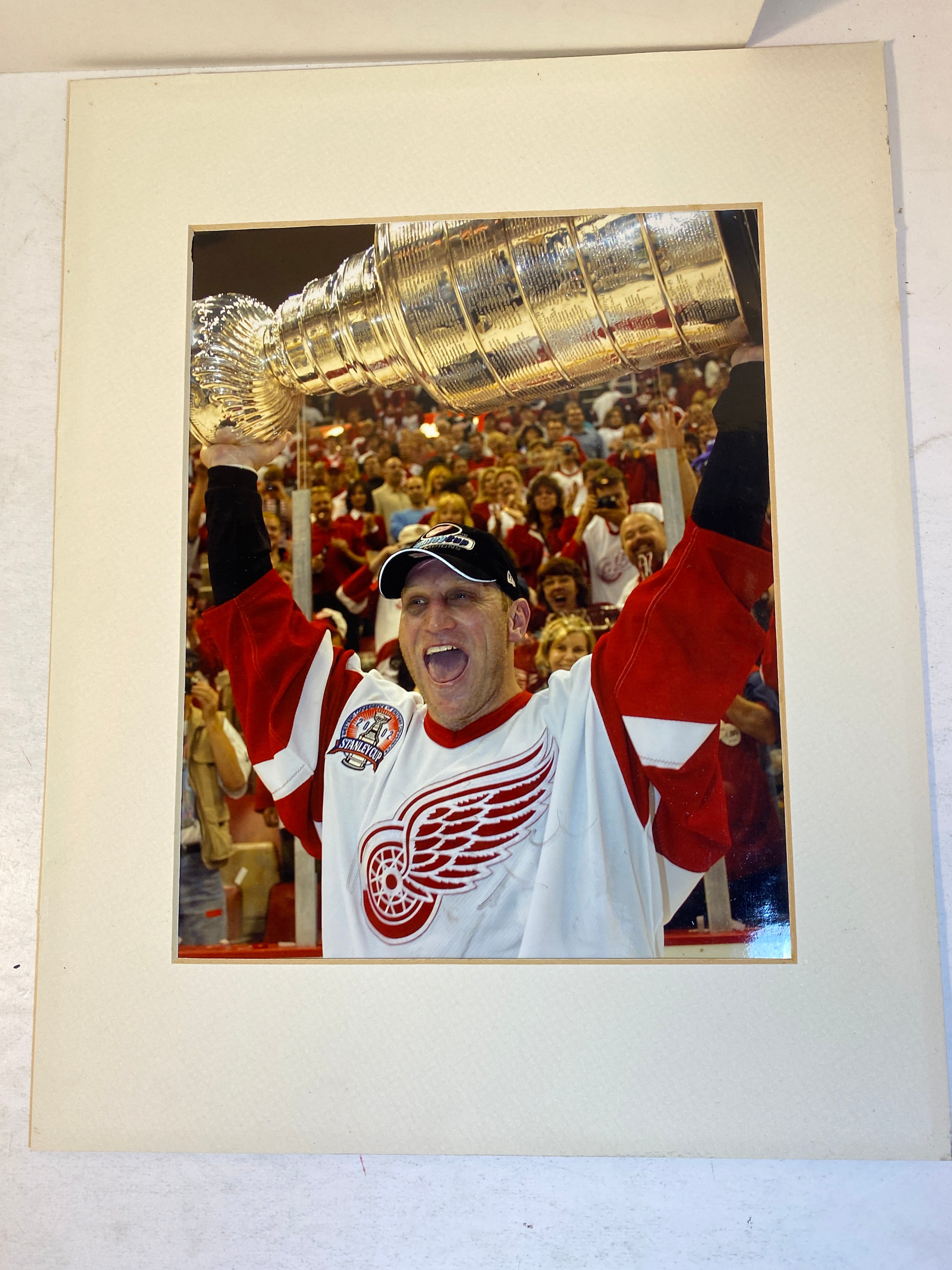 Lot of 5 Red Wings Stanley Cup Fan Collectibles 2002