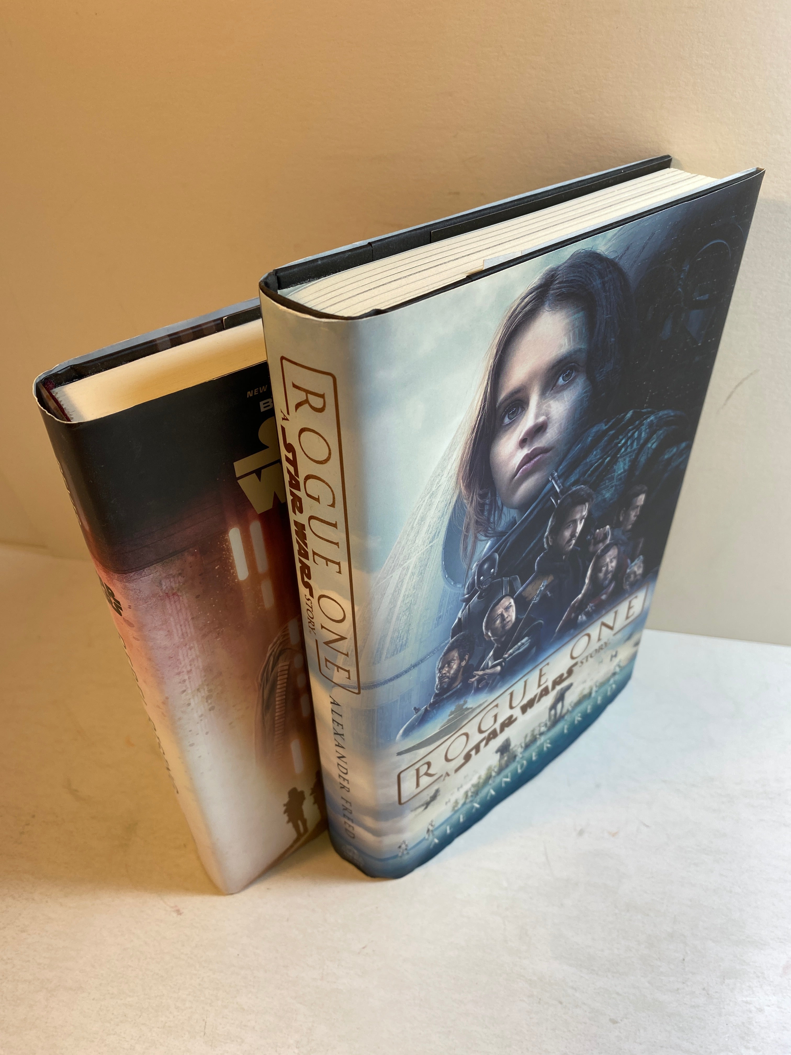 Lot of 2 Star Wars Books Rebel Rising Rogue One HCDJ 2016-2017