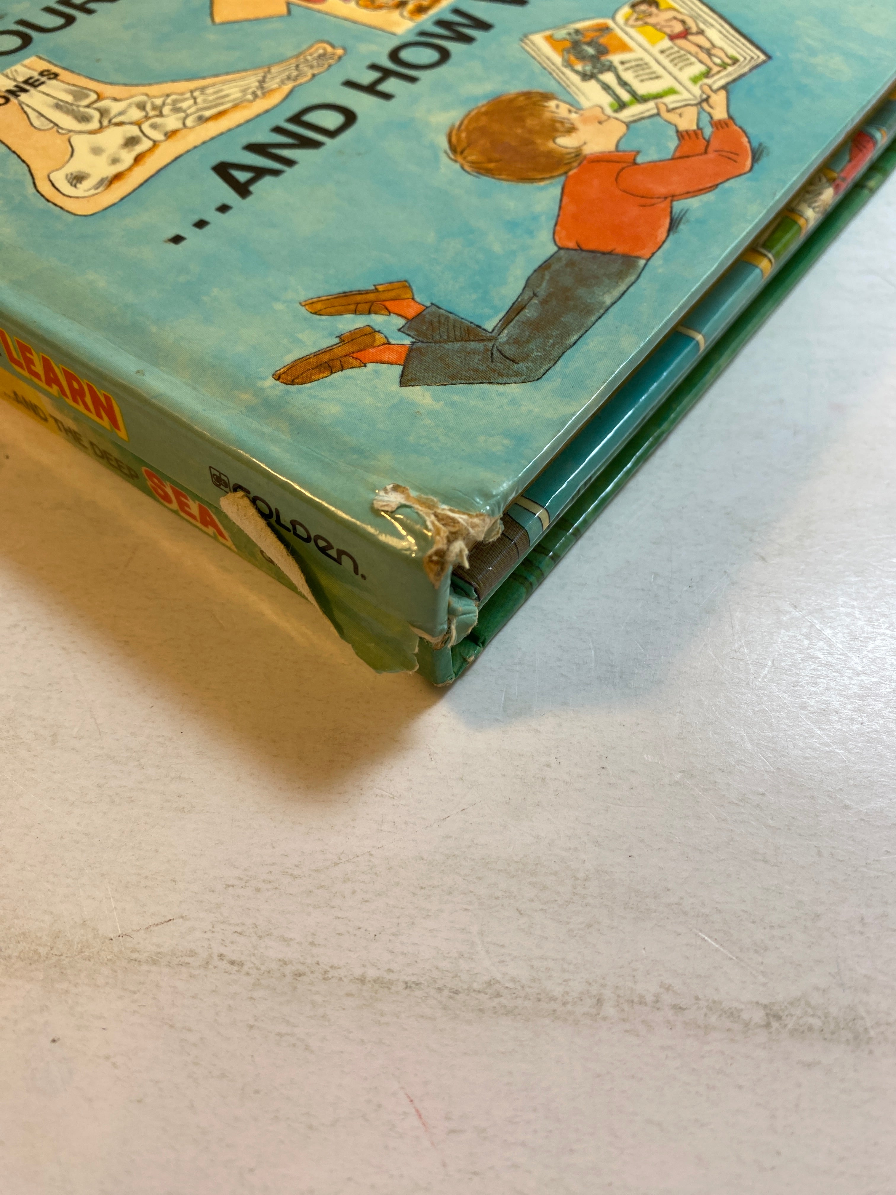 Lot of 2 Joe Kaufman Large Golden Books 1975-1978