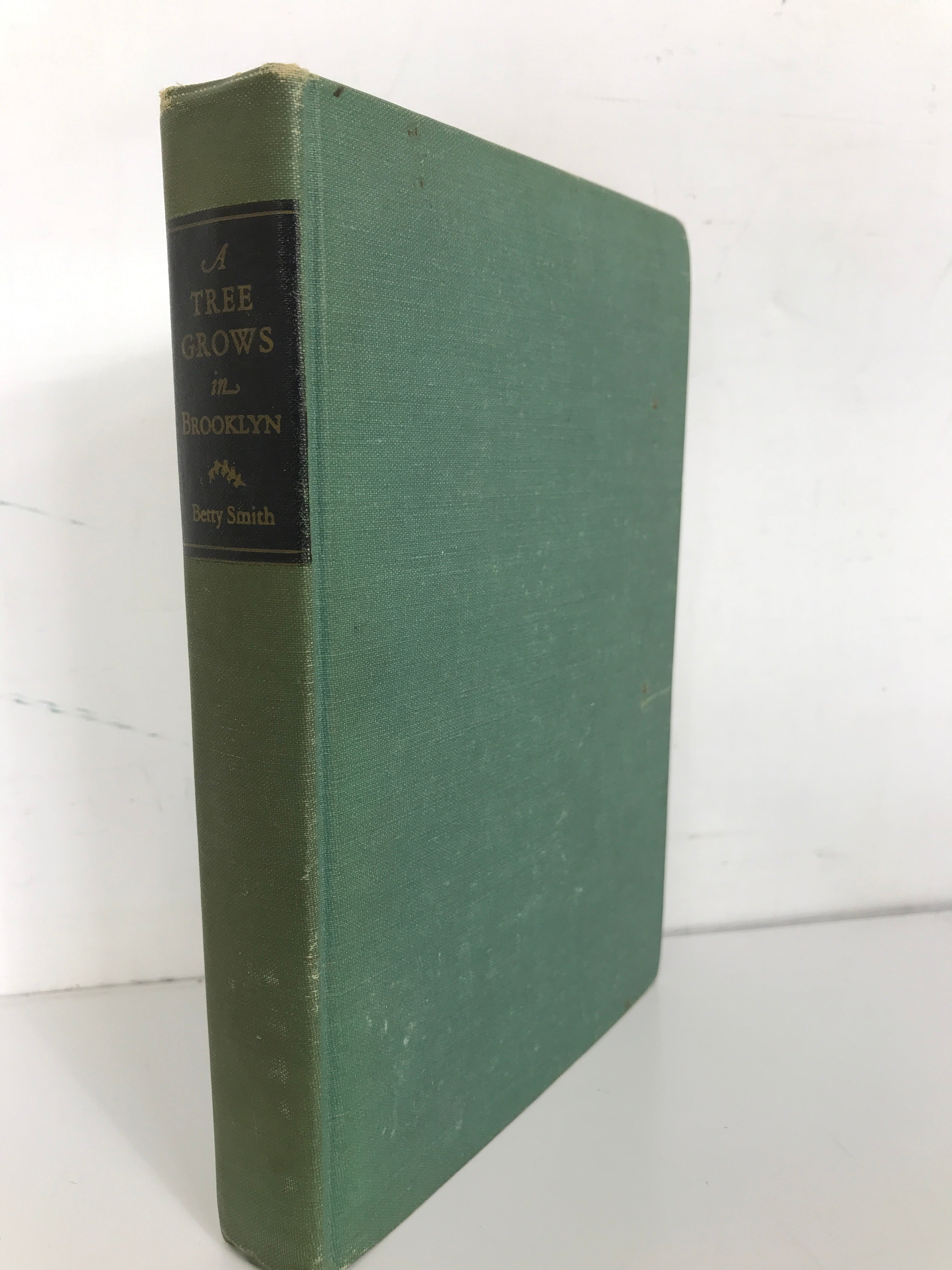 Cy Whittaker's Place by Joseph C. Lincoln 1908 HC D. Appleton and Company