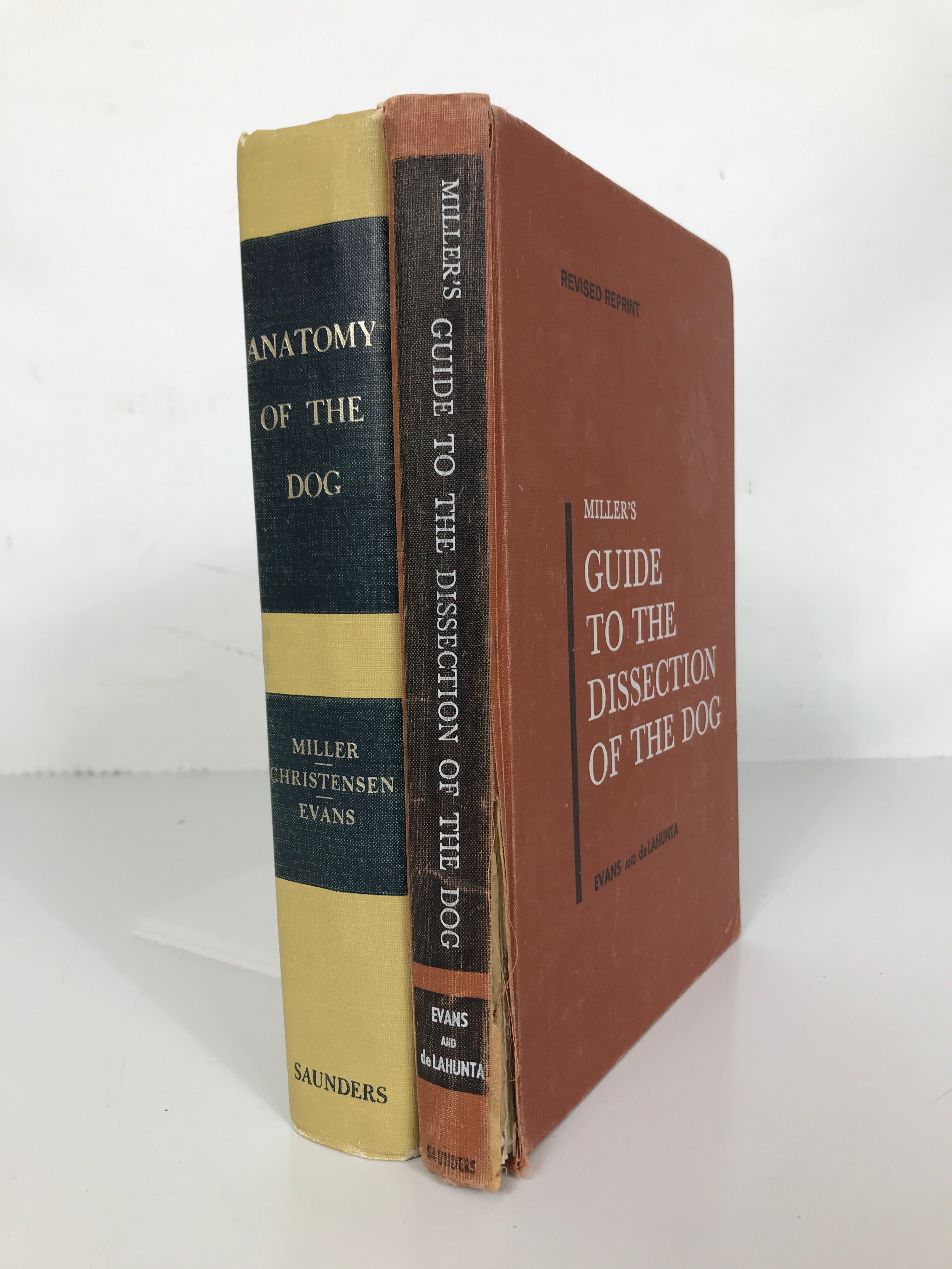 Lot of 2: Anatomy of the Dog 1964 / Guide to the Dissection of the Dog 1971 HC