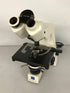 Carl Zeiss Standard 25 Binocular Microscope *For Parts or Repair* #2