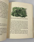 All About the Sea Ferdinand C. Lane Random House 1953 HCDJ