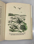 All About the Sea Ferdinand C. Lane Random House 1953 HCDJ