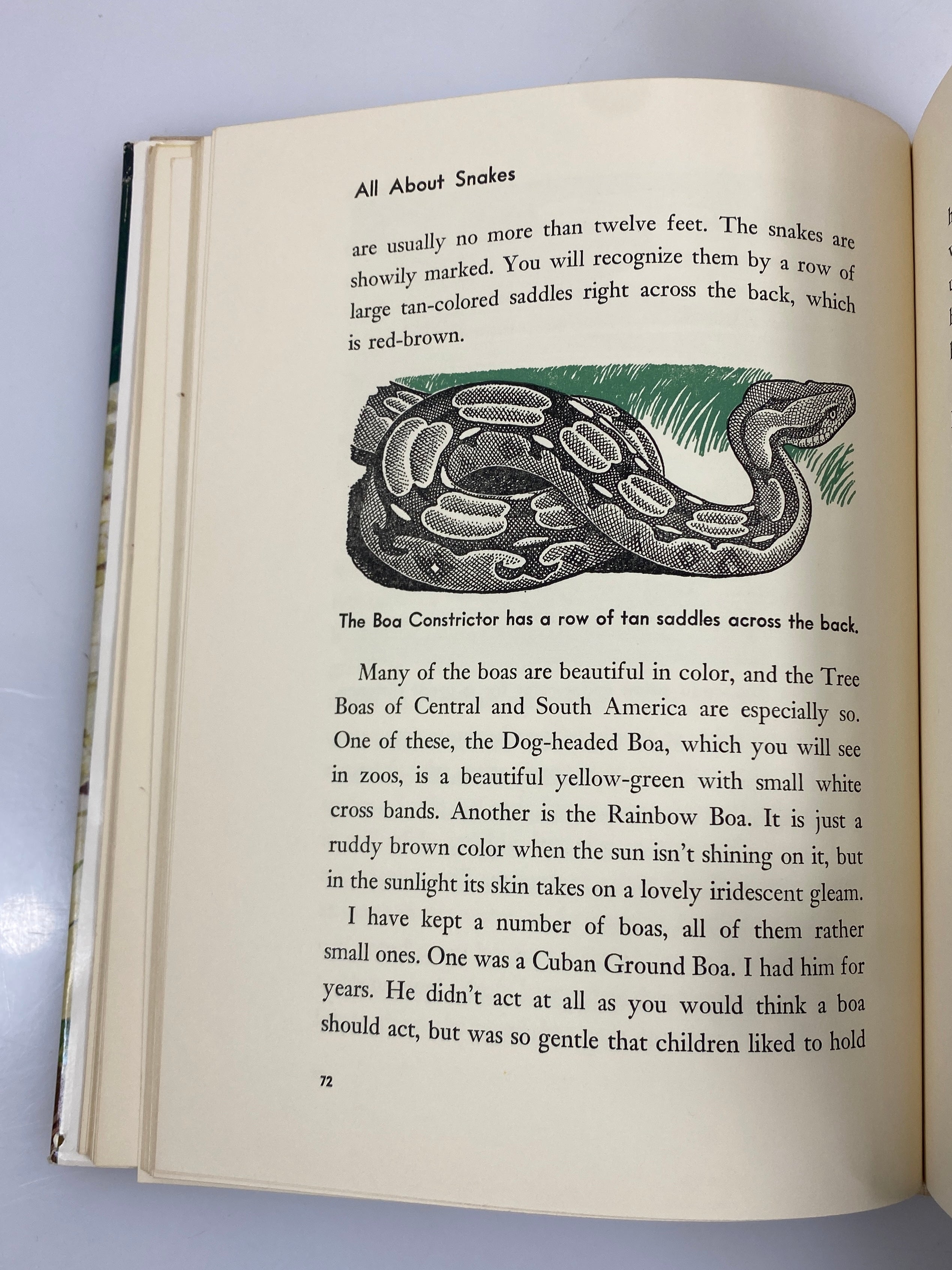All About Snakes Bessie M. Hecht Random House 6th Print 1956 HCDJ