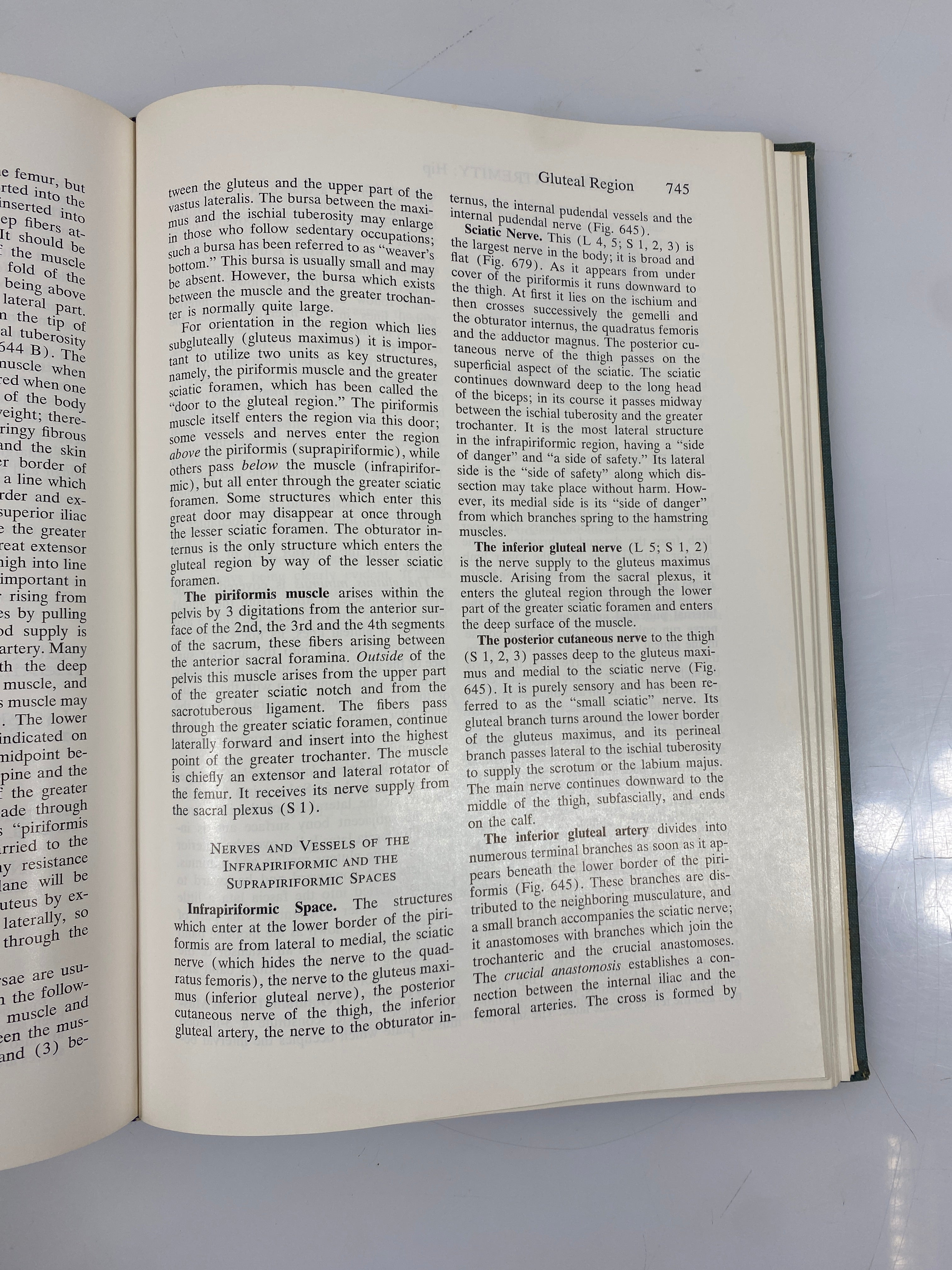 Anatomy in Surgery Philip Thorek J.B. Lippincott Company 2nd Ed. 1962 HC