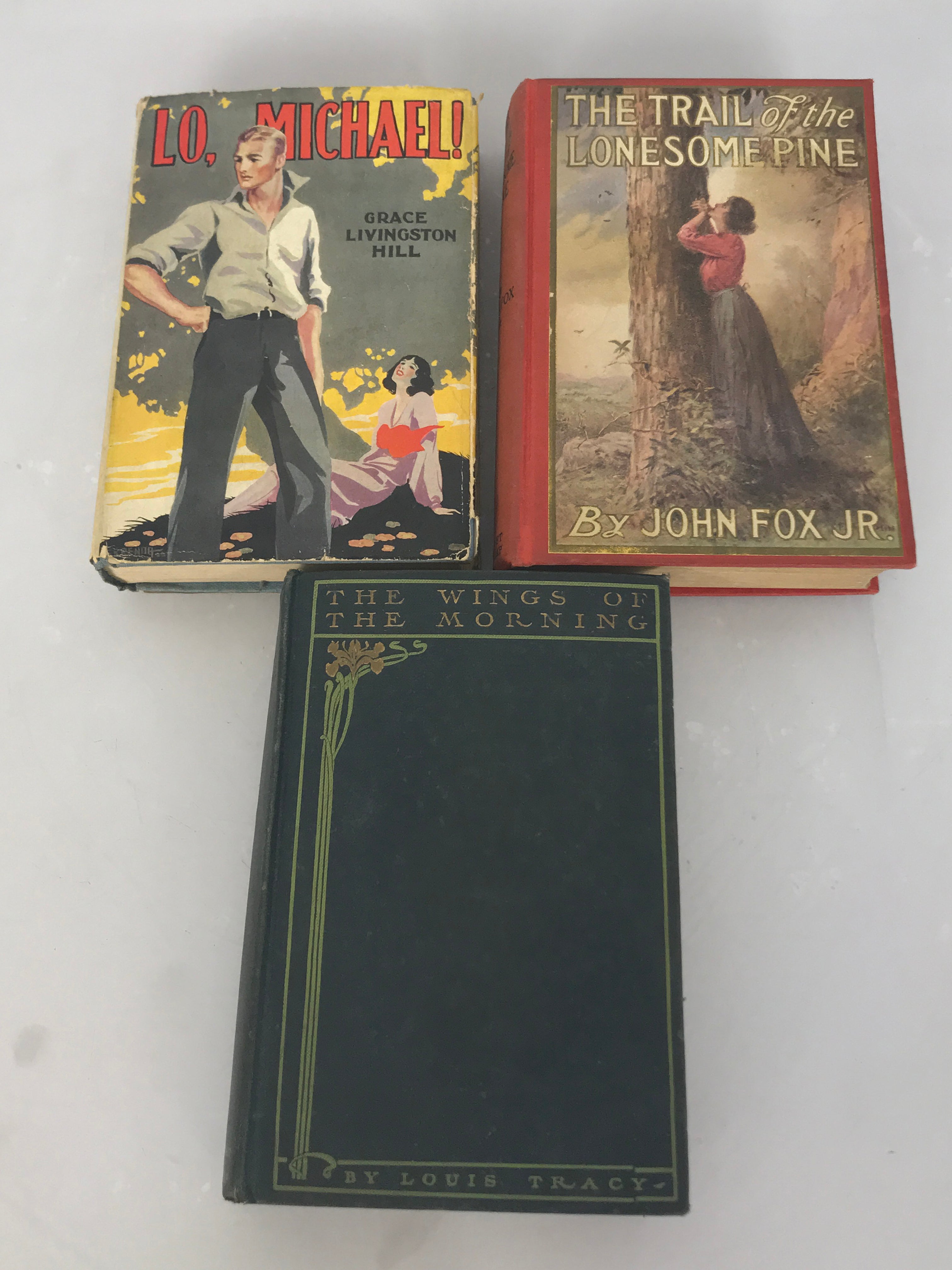 Lot of 3 Antique Romance Novels: Lo, Michael!, The Trail of the Lonesome Pine, and The Wings of the Morning 1903-1913 HC
