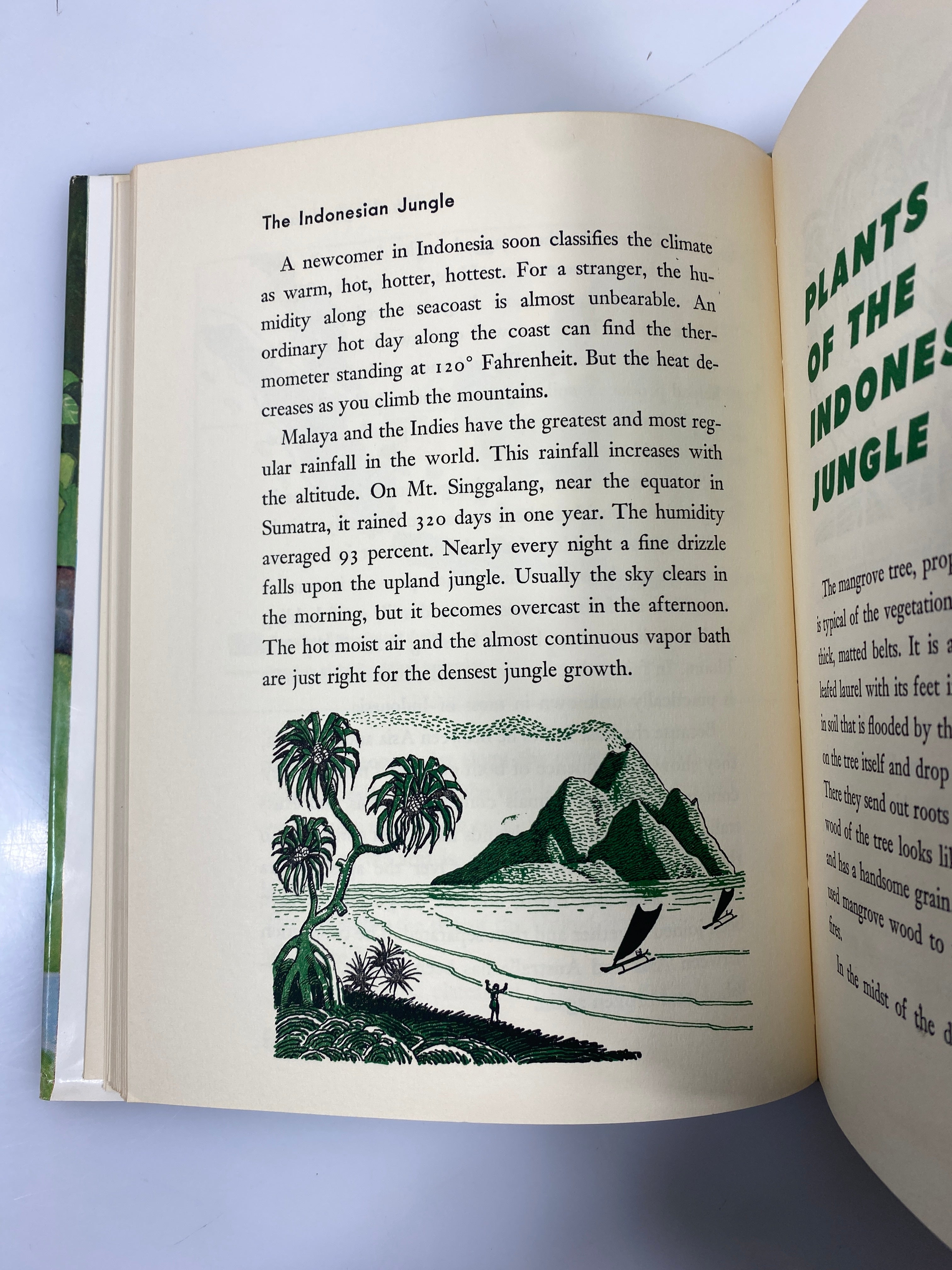 All About the Jungle Armstrong Sperry Random House 1959 HCDJ