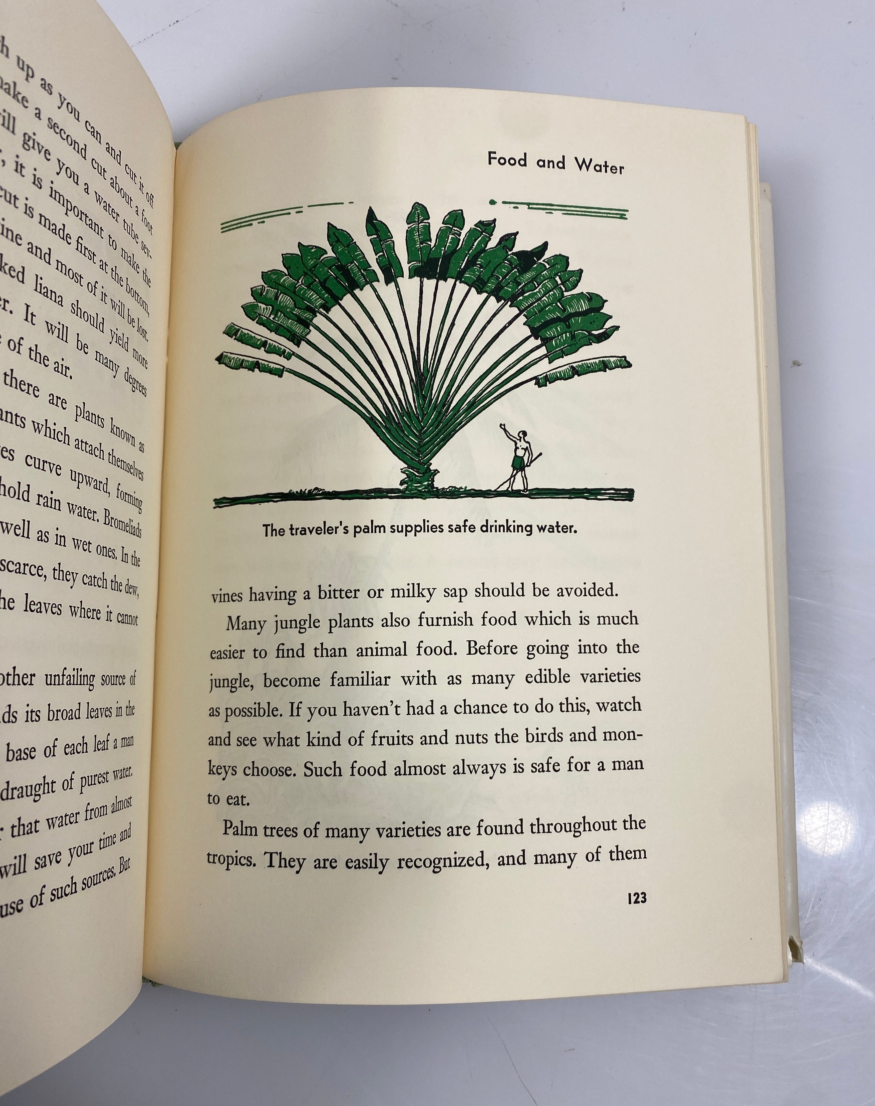 All About the Jungle Armstrong Sperry Random House 1959 HCDJ