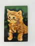 Antique Vintage Single Kitten Postcard Squeaker makes noise c1950s