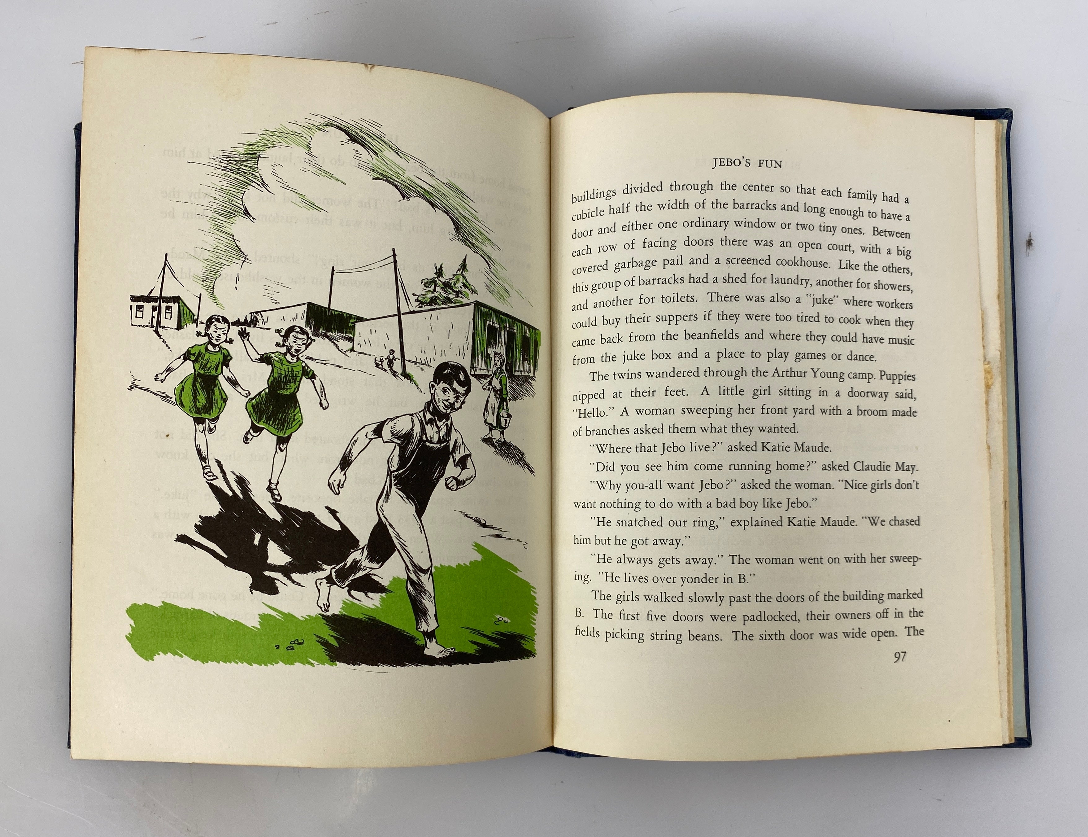 Blueberry Acres by Alice Geer Kelsey 1949 Vintage HC