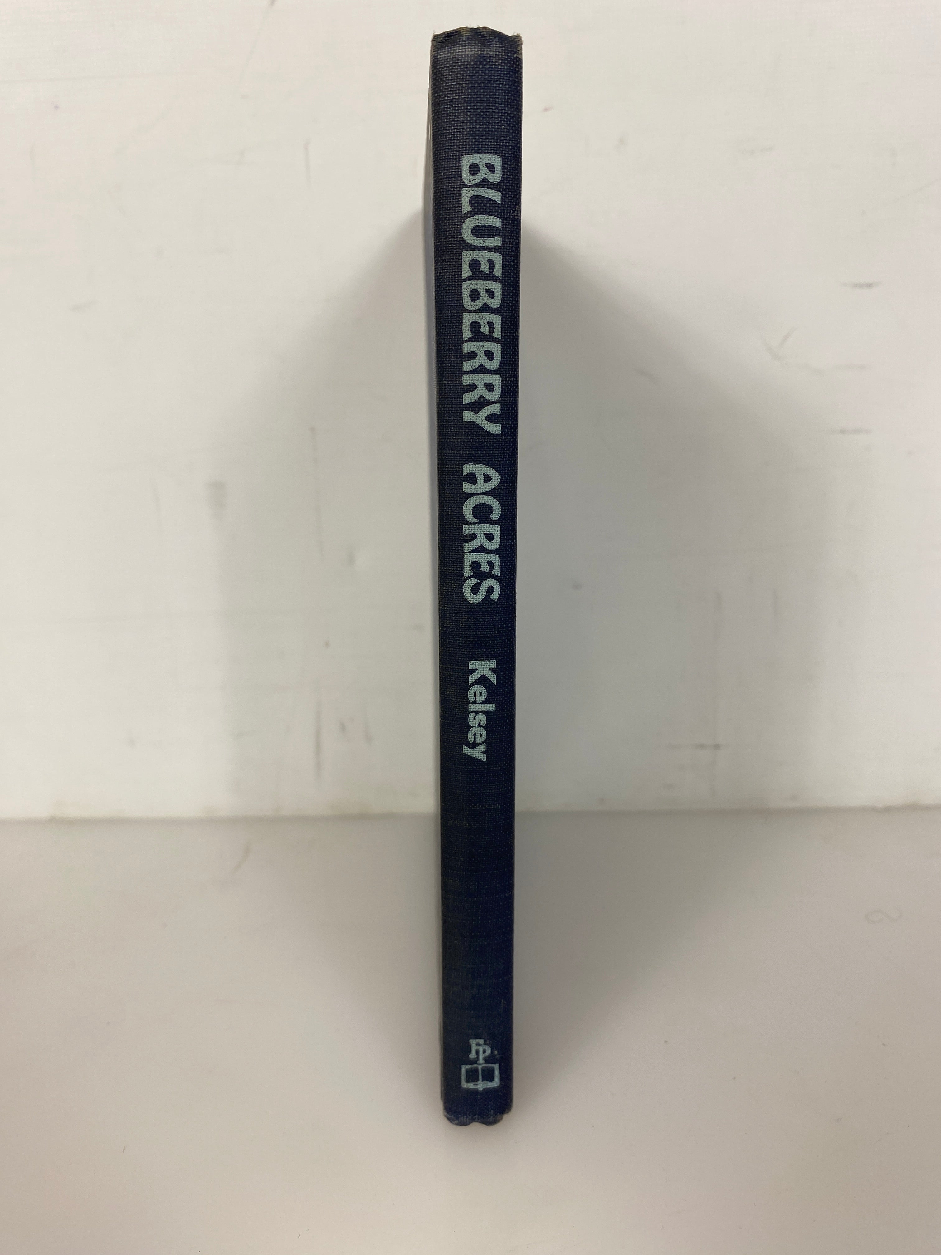 Blueberry Acres by Alice Geer Kelsey 1949 Vintage HC