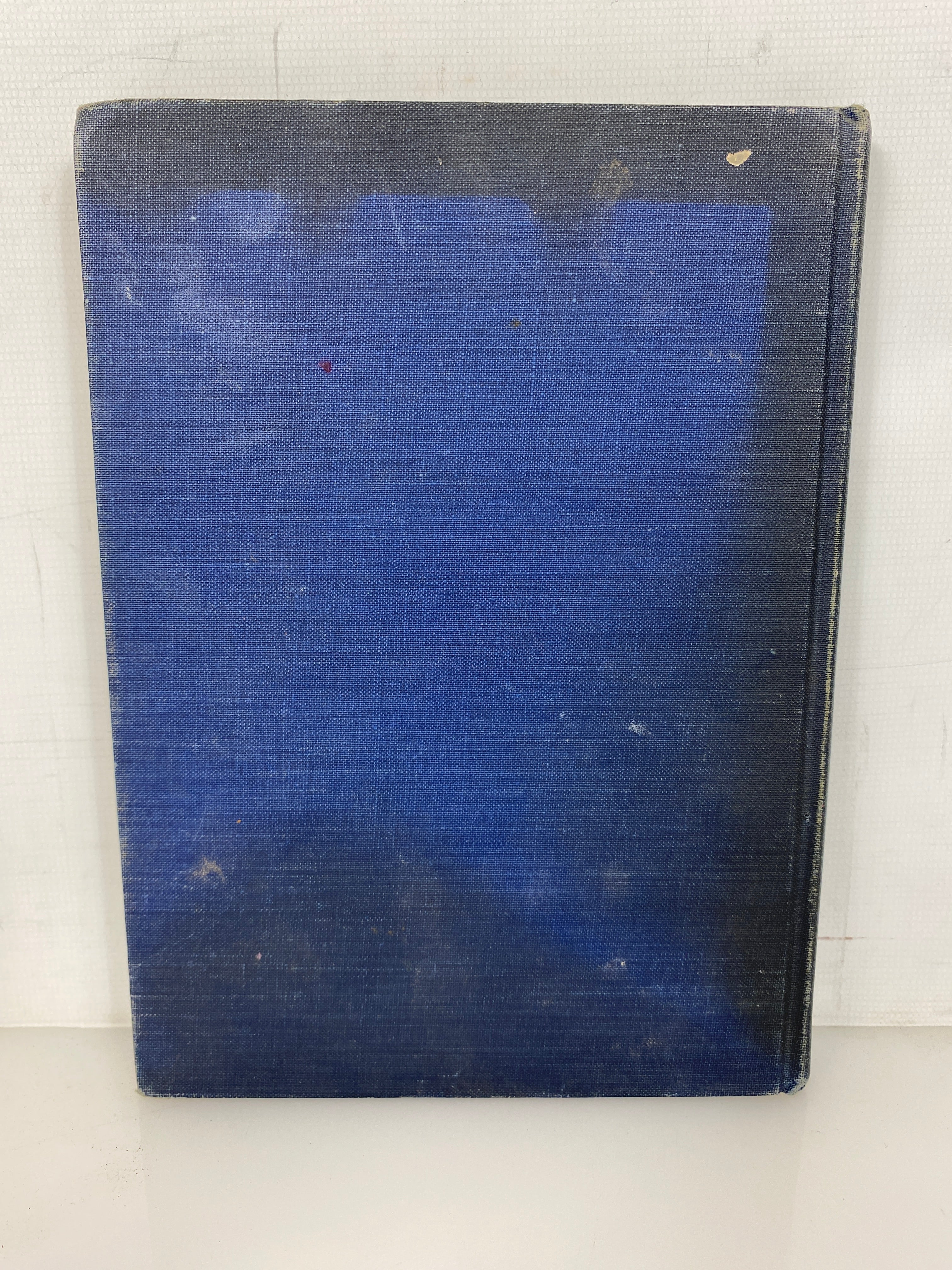 Blueberry Acres by Alice Geer Kelsey 1949 Vintage HC