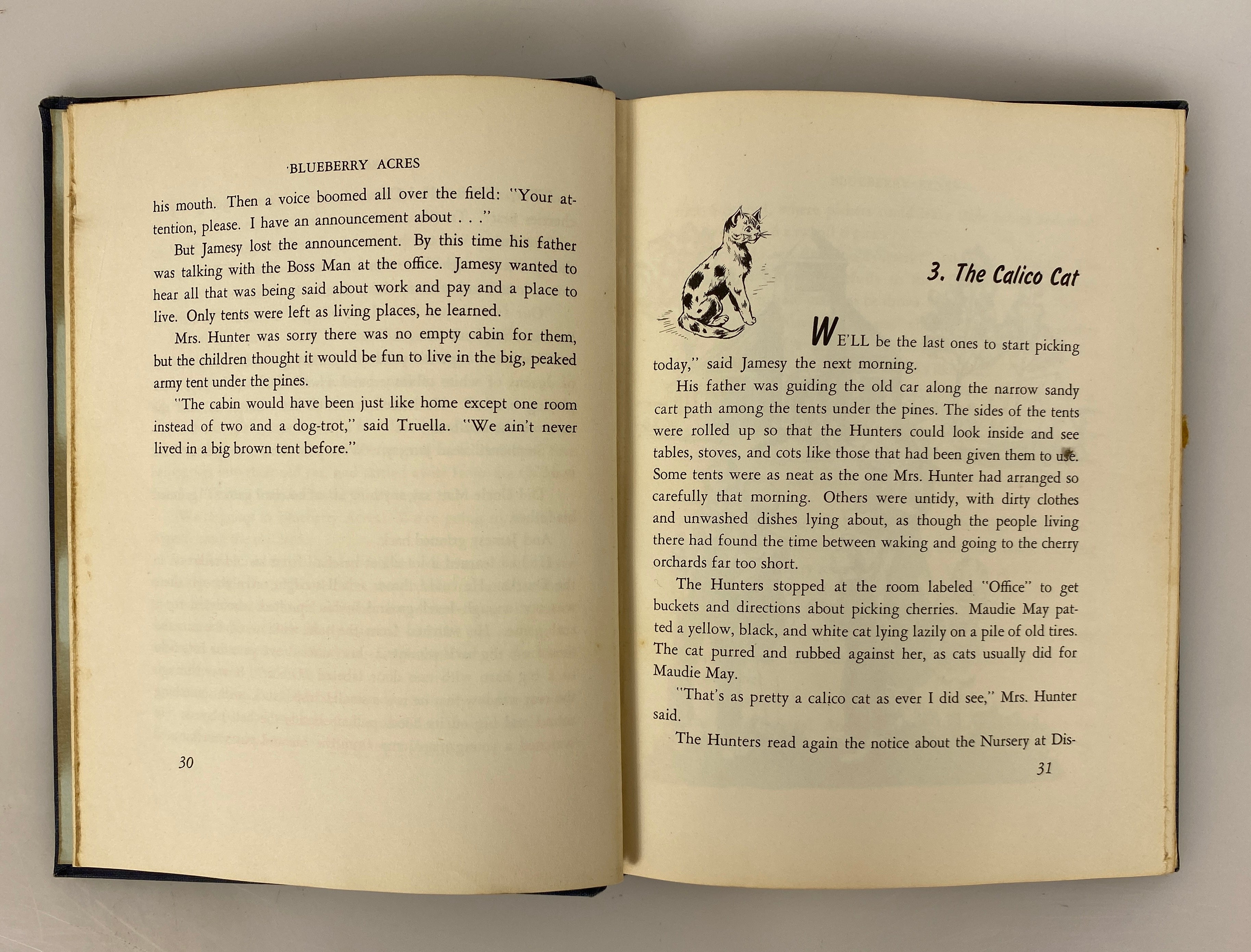 Blueberry Acres by Alice Geer Kelsey 1949 Vintage HC