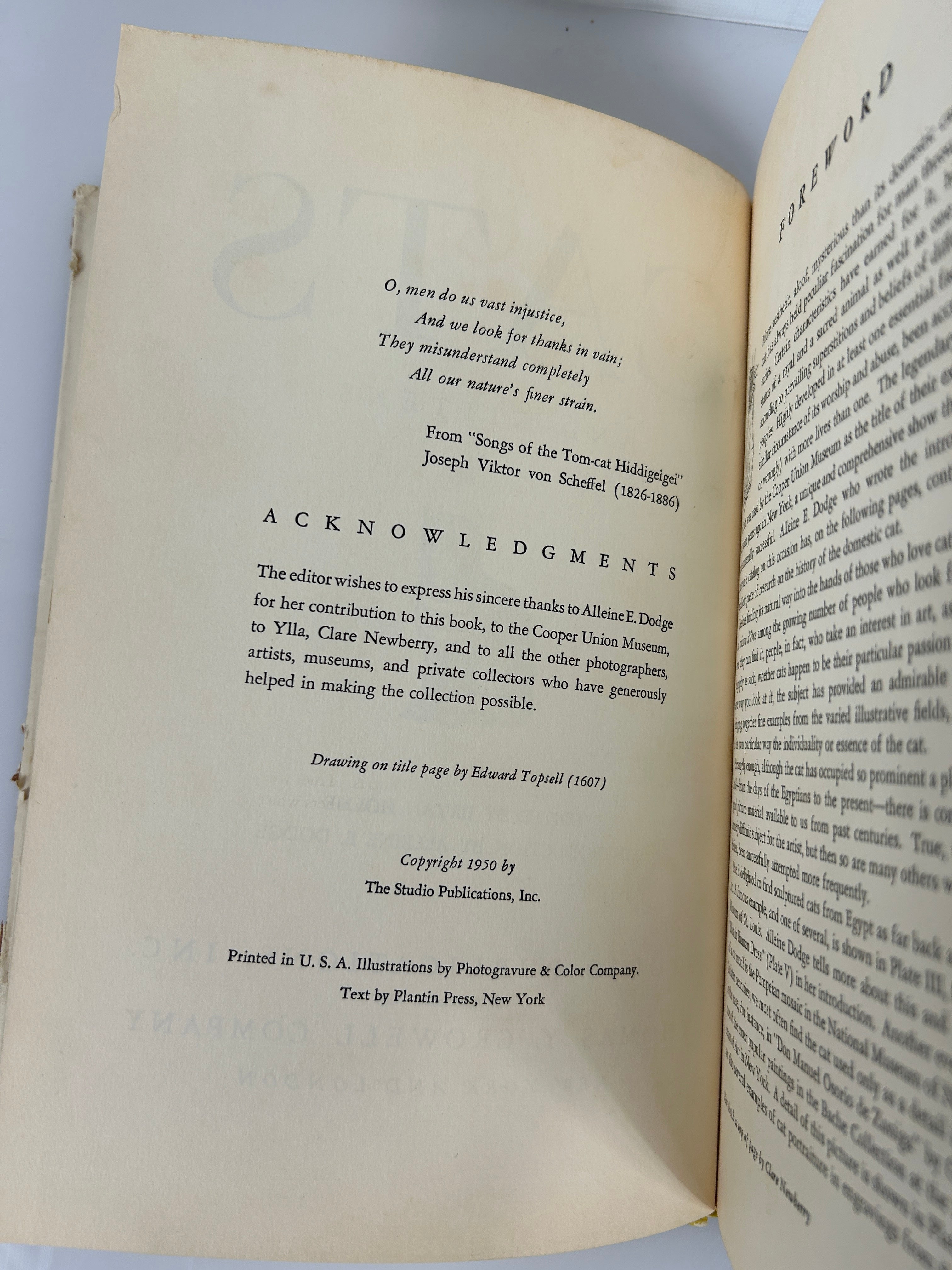 Cats & Kittens Ed Bryan Holmes 1st Print HC