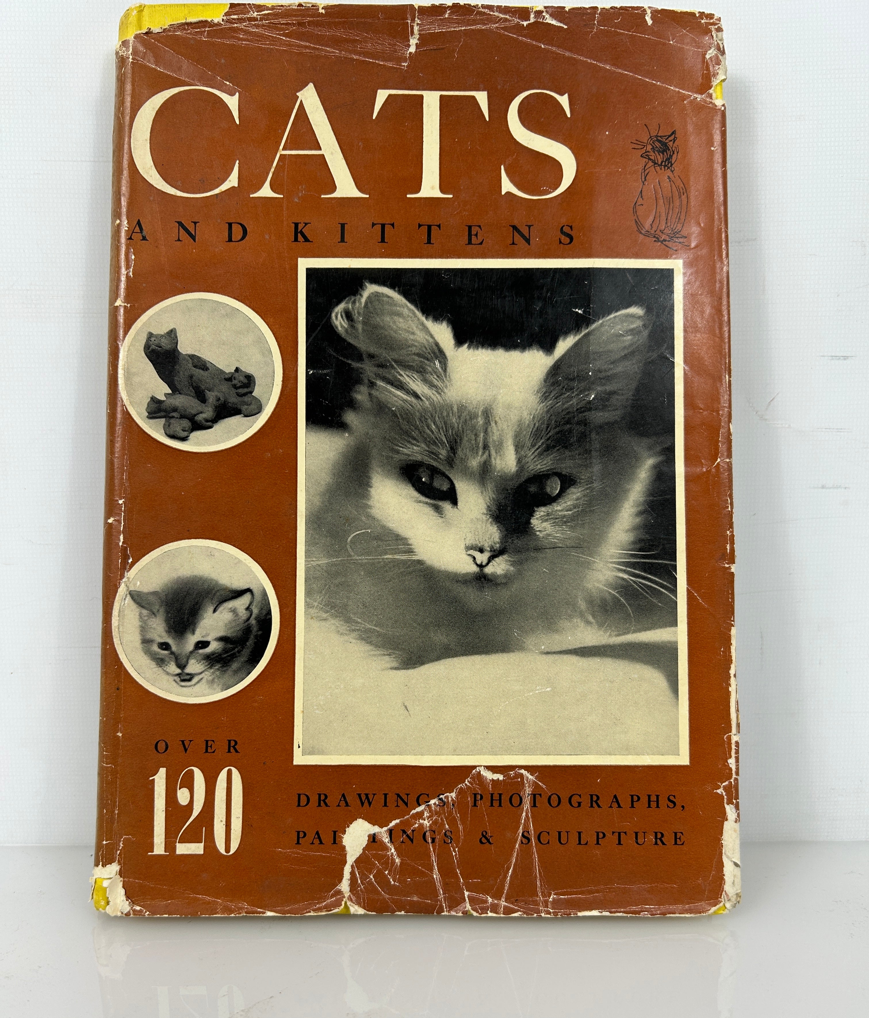 Cats & Kittens Ed Bryan Holmes 1st Print HC