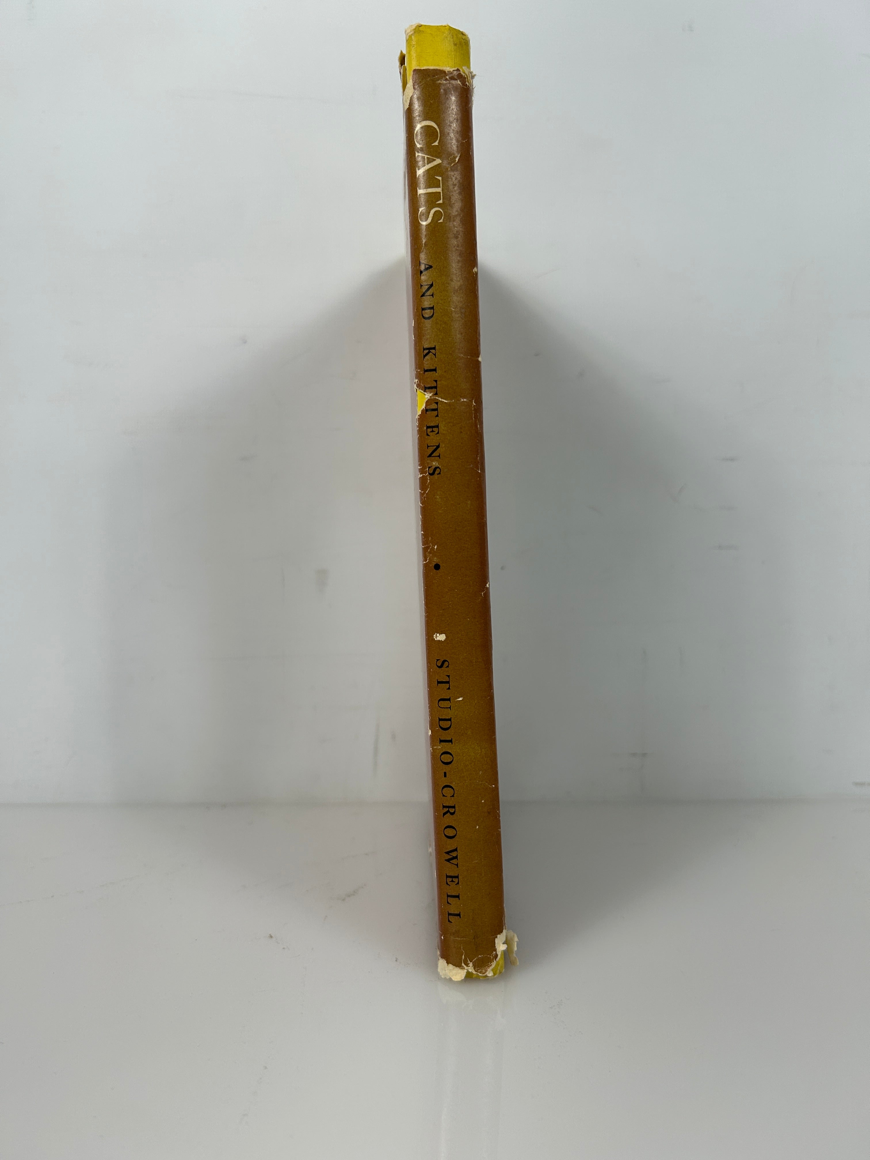 Cats & Kittens Ed Bryan Holmes 1st Print HC