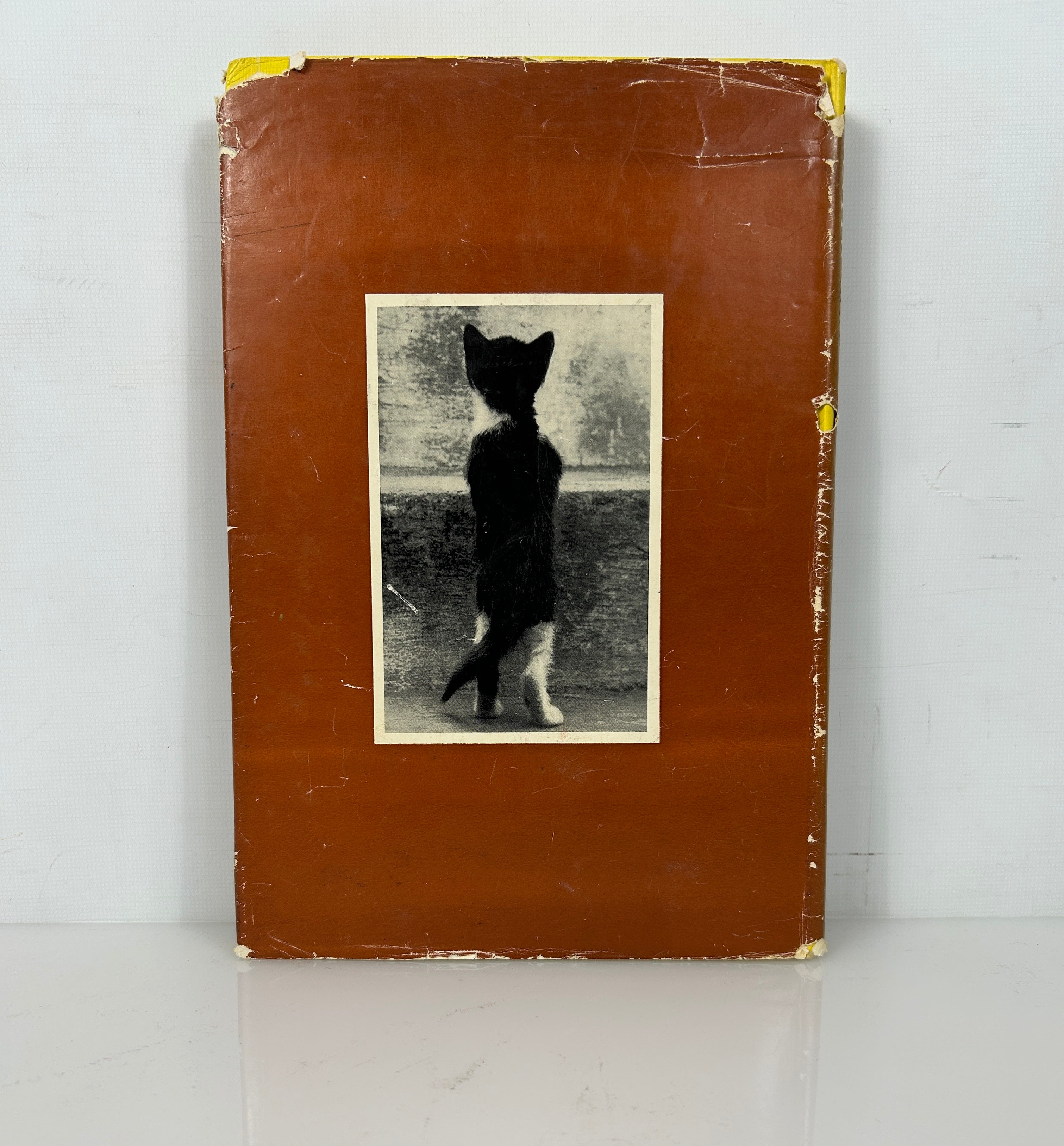 Cats & Kittens Ed Bryan Holmes 1st Print HC