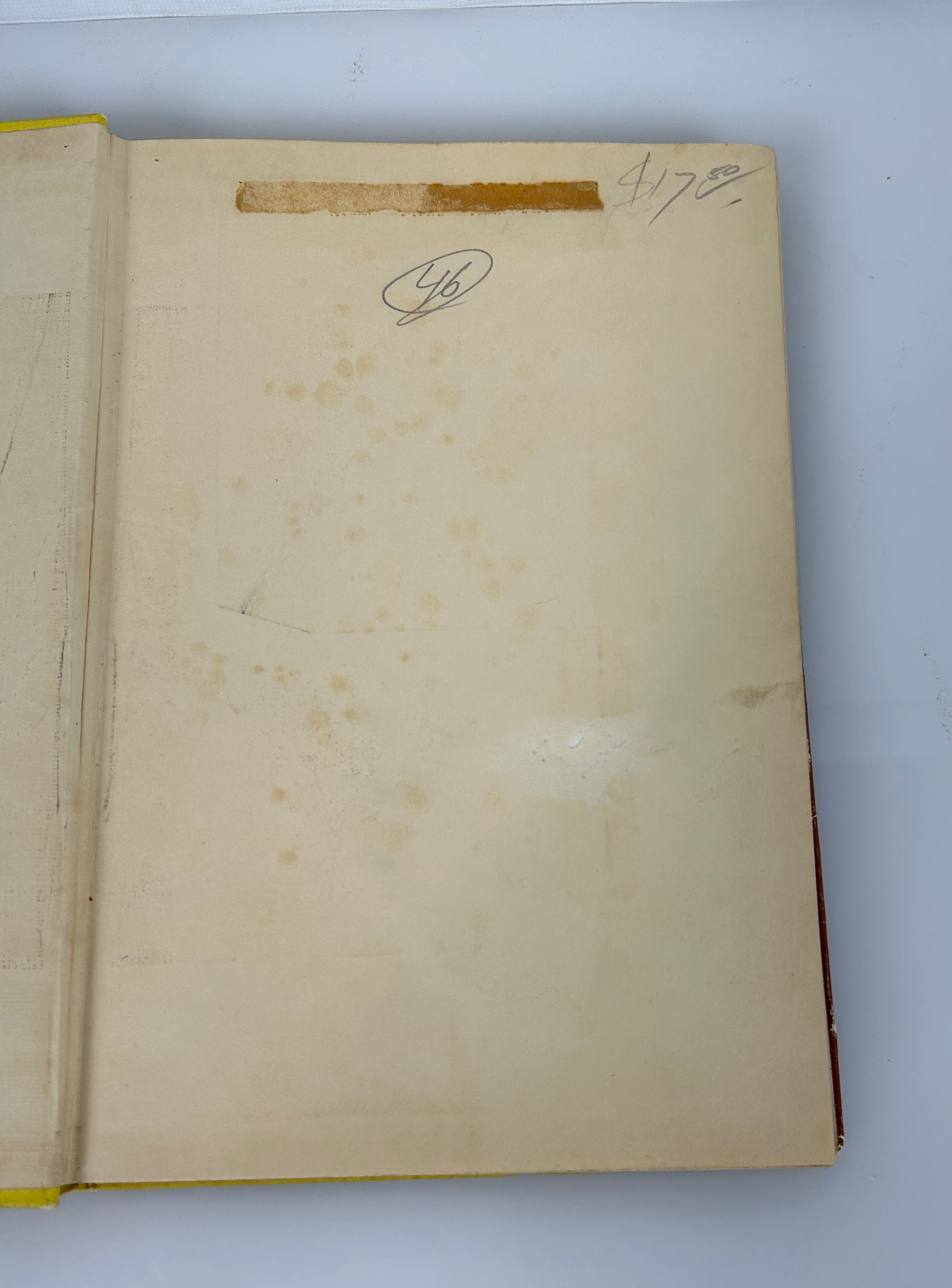 Cats & Kittens Ed Bryan Holmes 1st Print HC