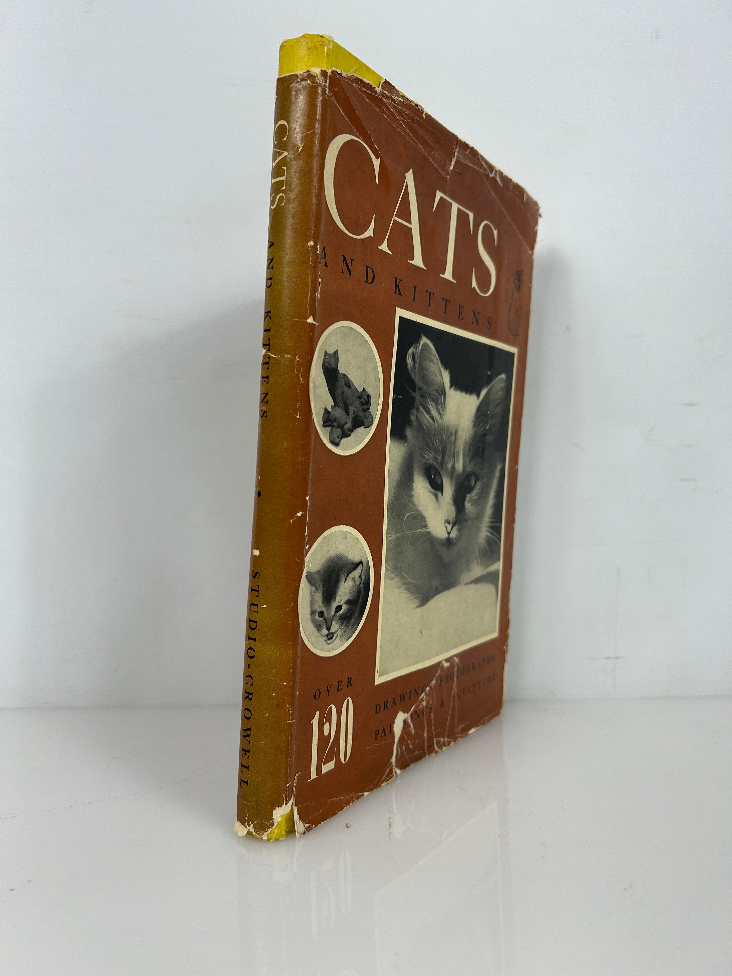 Cats & Kittens Ed Bryan Holmes 1st Print HC