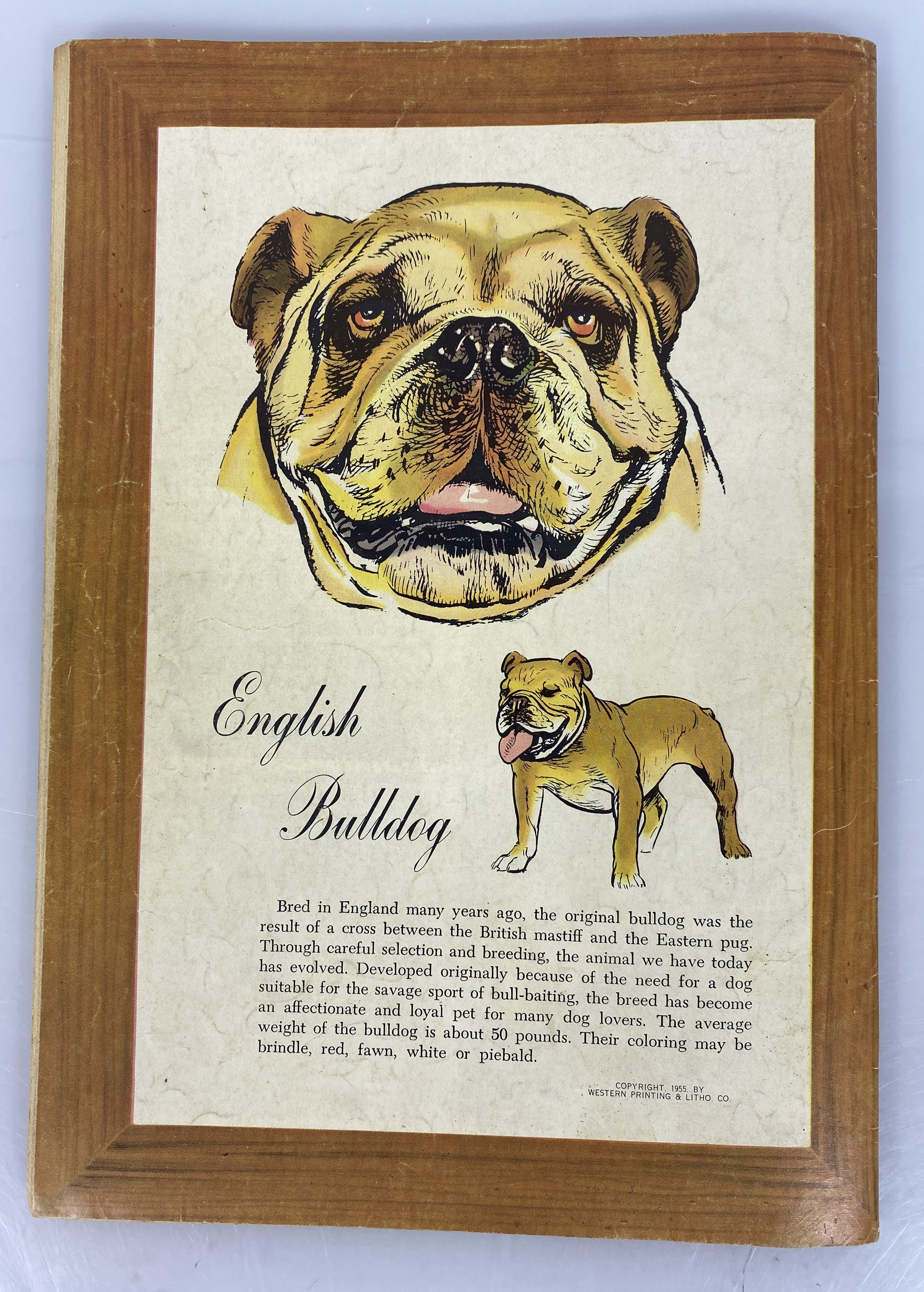 Dell Comics MGM's Lassie Comic No. 26 1956