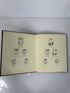 Diary of a Victorian Cat Ill Susan Herbert 1991 HCDJ