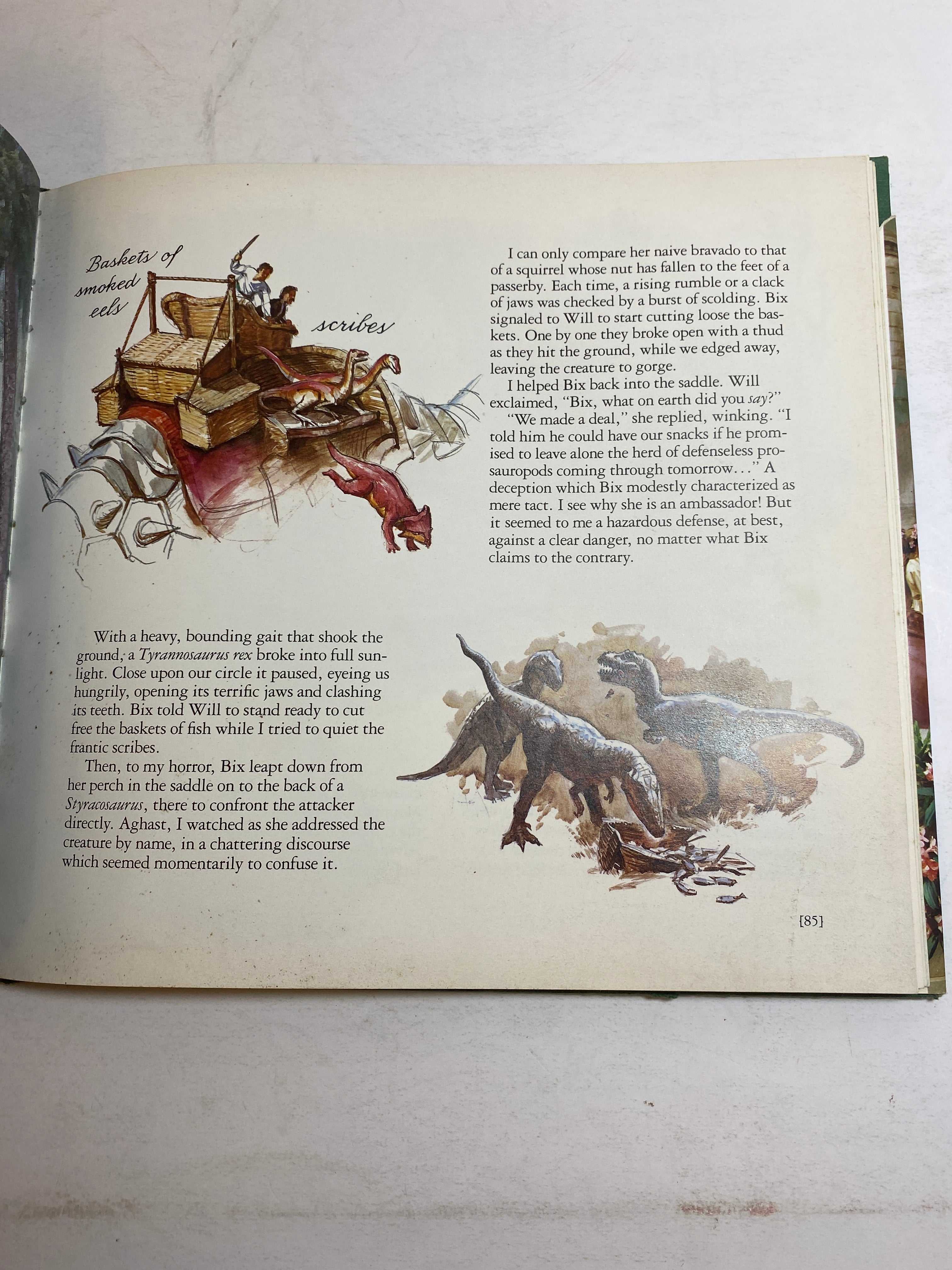 Dinotopia James Gurney HCDJ 1992