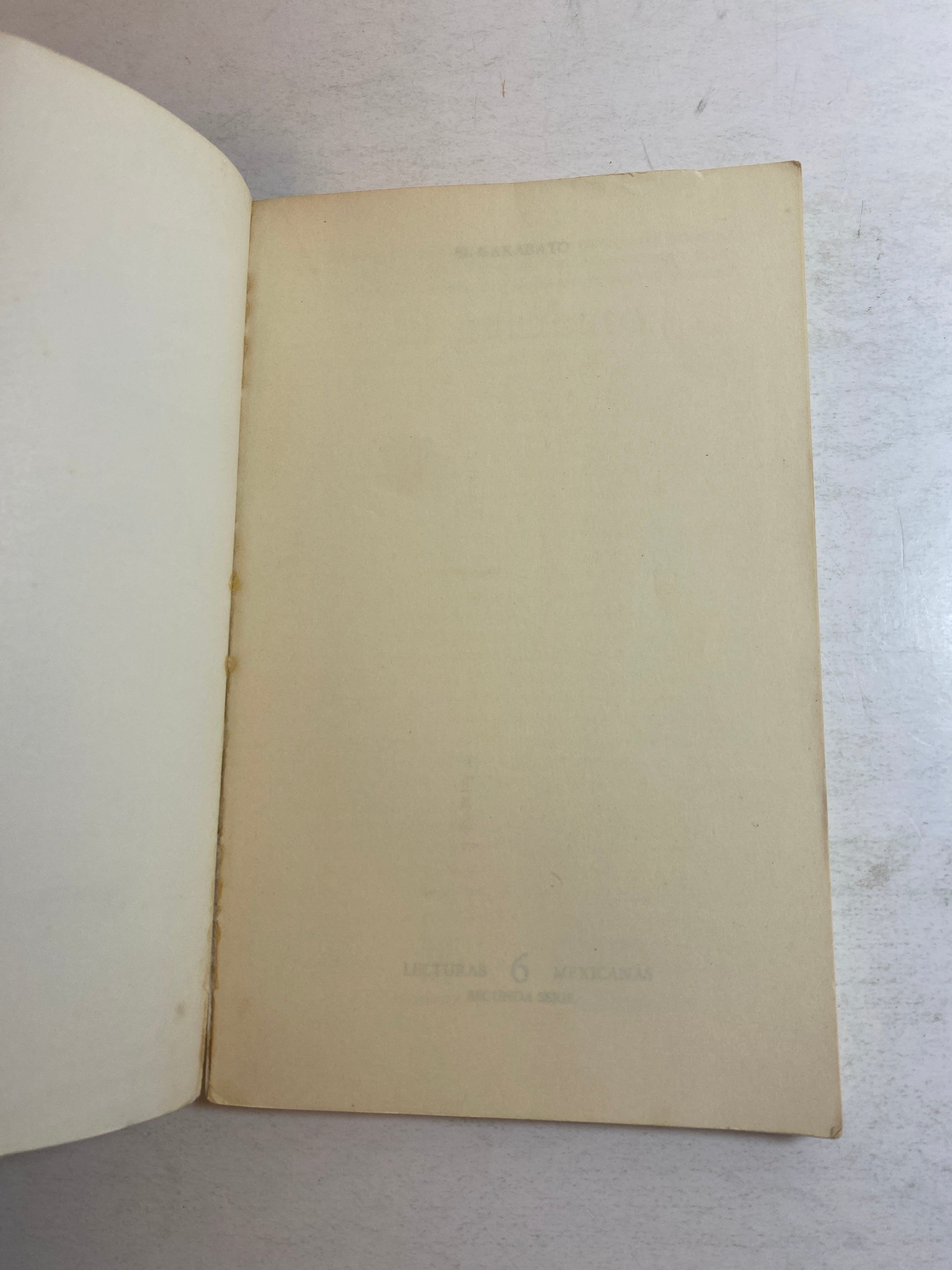 El Garabato Vicente Lenero SC 1985