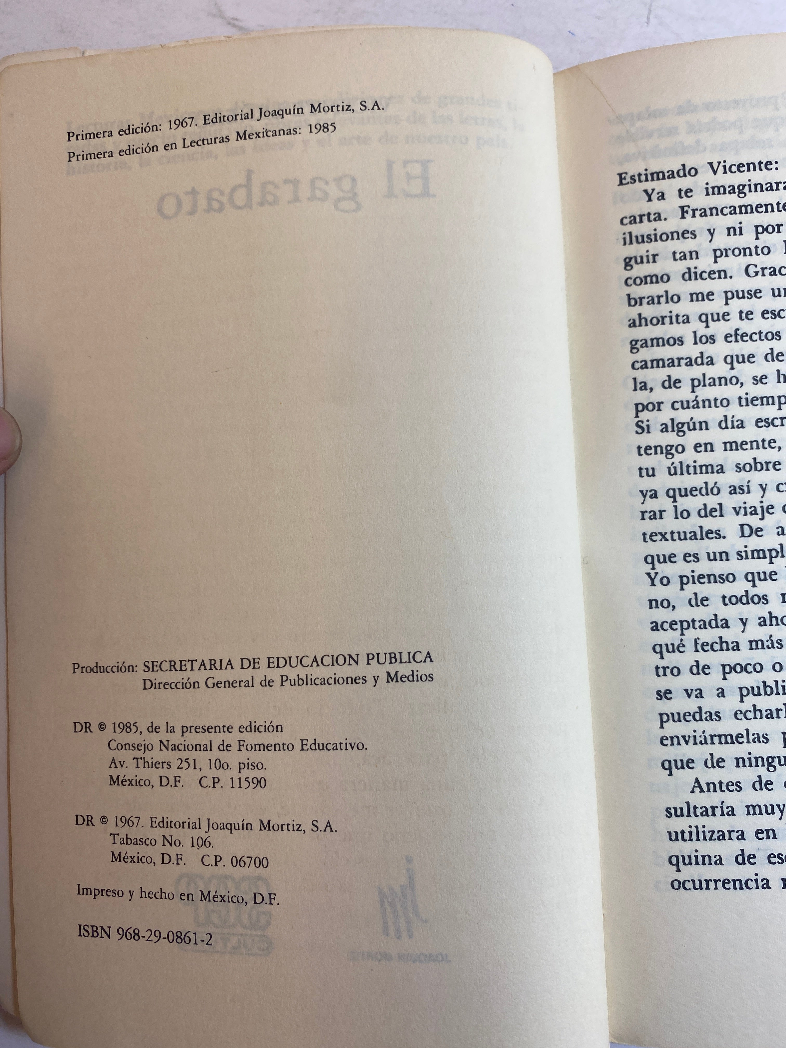 El Garabato Vicente Lenero SC 1985