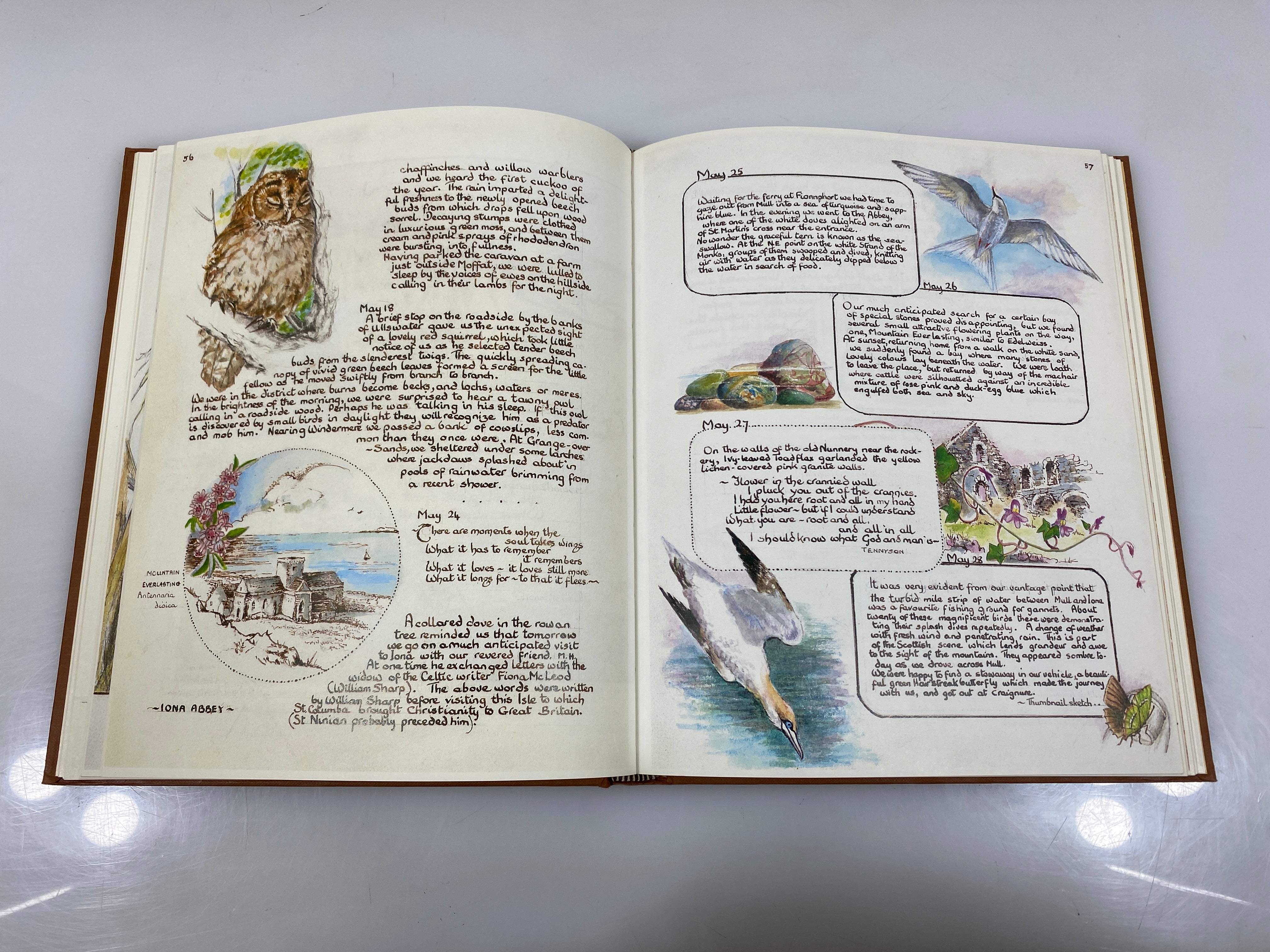 Island Diary of a Year on Easdale by Vicky & Garth Waite 1985 Vintage HC