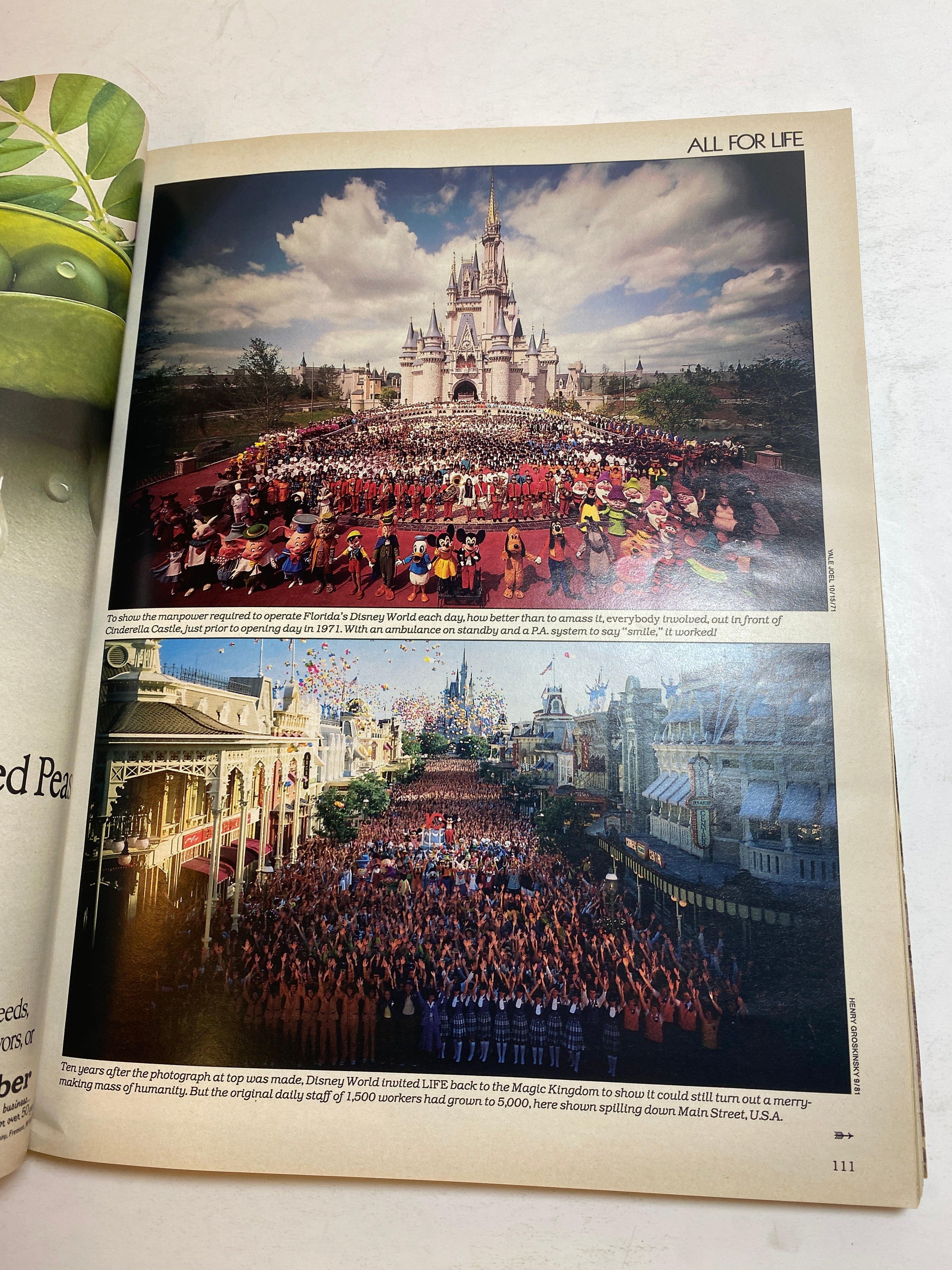 Life Magazine 50 Years Issue Fall 1986