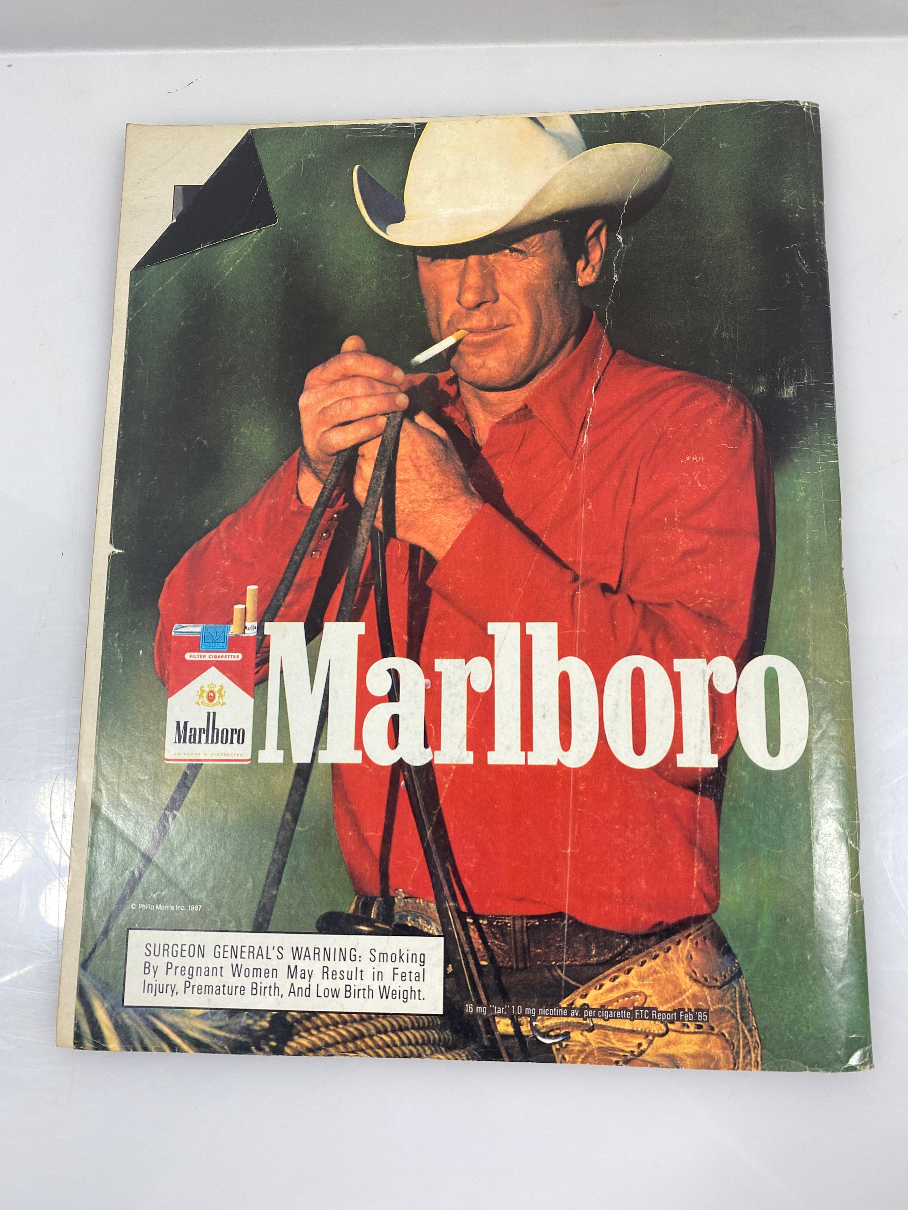 Life Magazine Constitution Issue Fall 1987