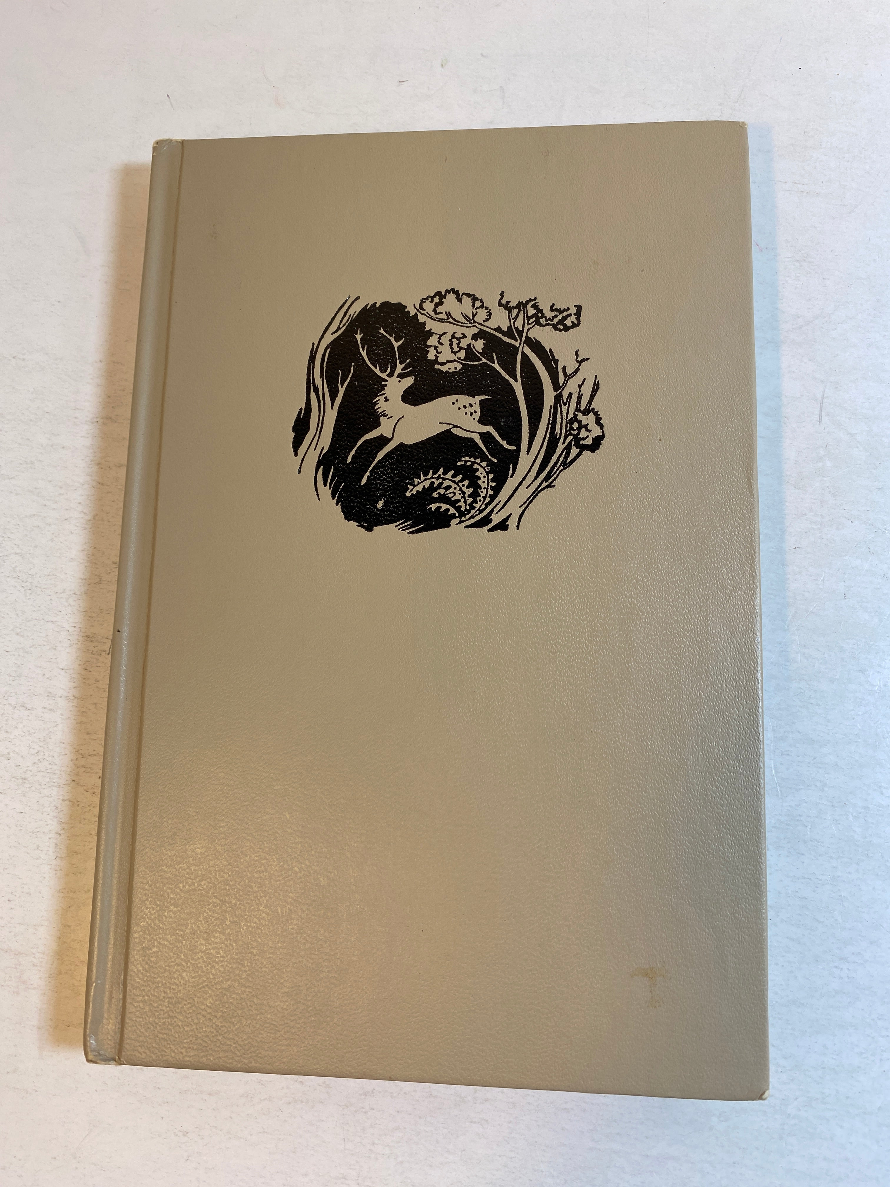 Lion, the Witch, and the Wardrobe CS Lewis HCDJ Book Club 1950