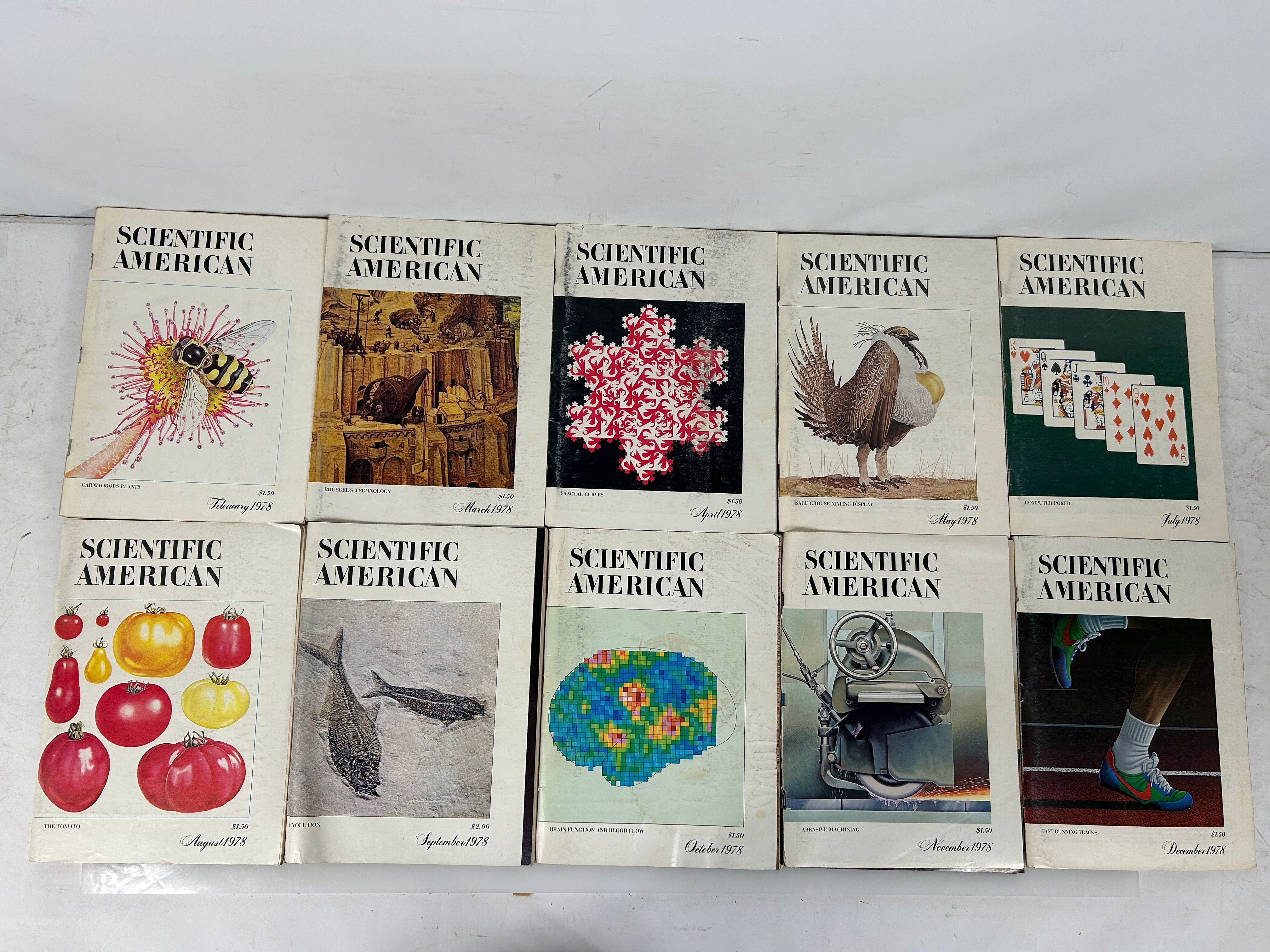 Lot of 10 Scientific American Magazine 1978 Issues (No Jan/Jun)Thick Magazines