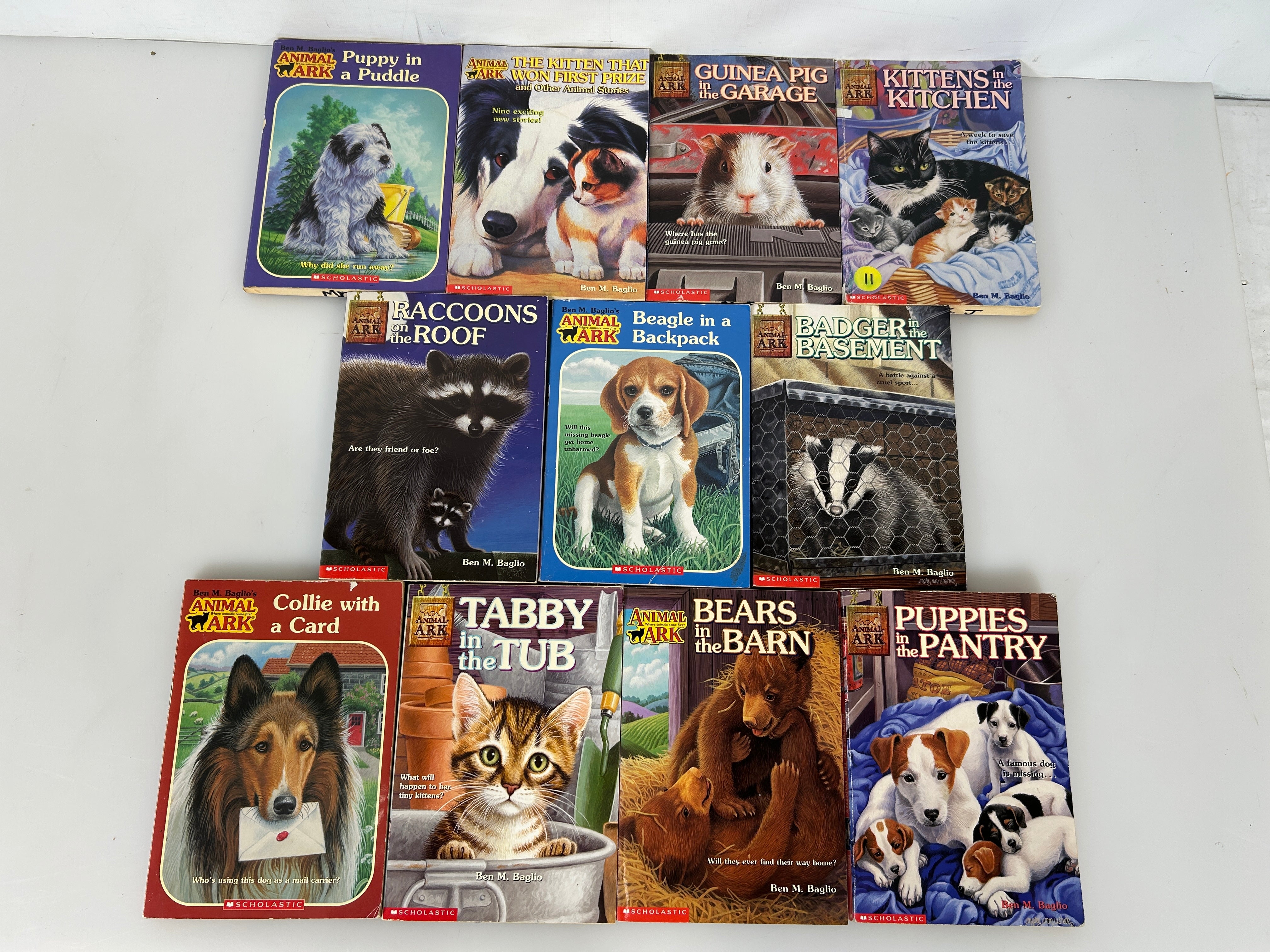 Lot of 11 Animal Ark Kids' Chapter books Ex-Classroom