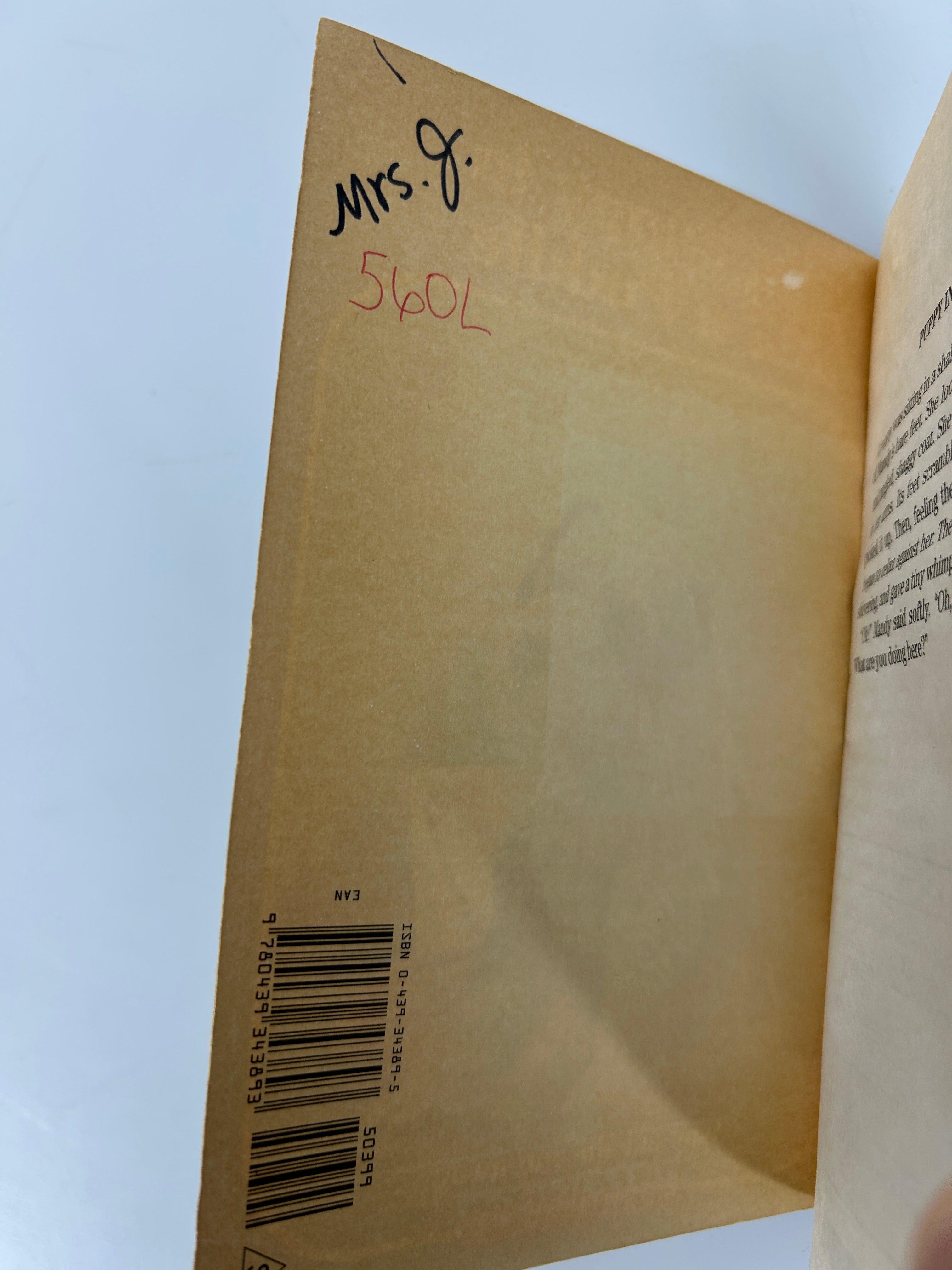 Lot of 11 Animal Ark Kids' Chapter books Ex-Classroom