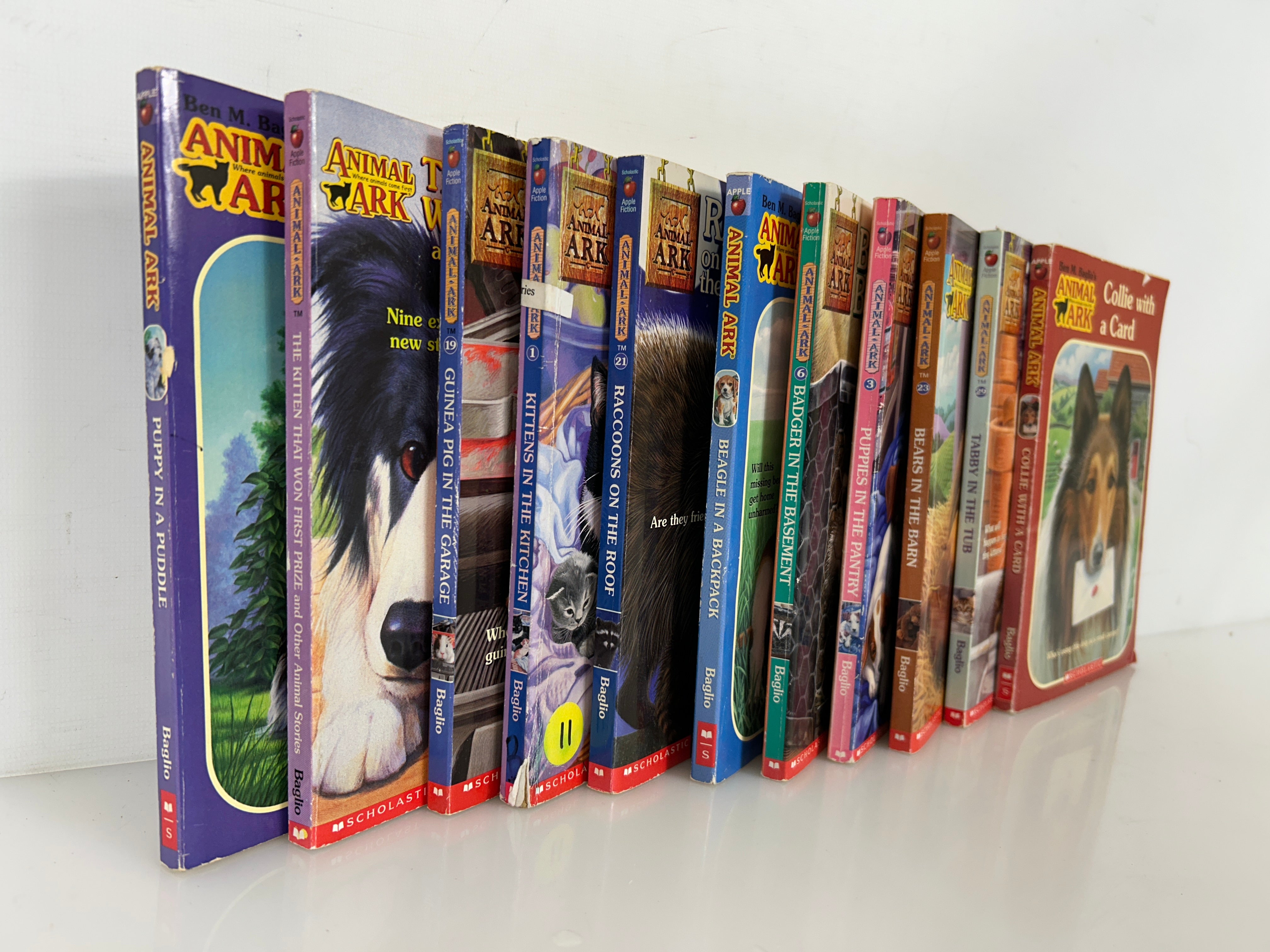 Lot of 11 Animal Ark Kids' Chapter books Ex-Classroom