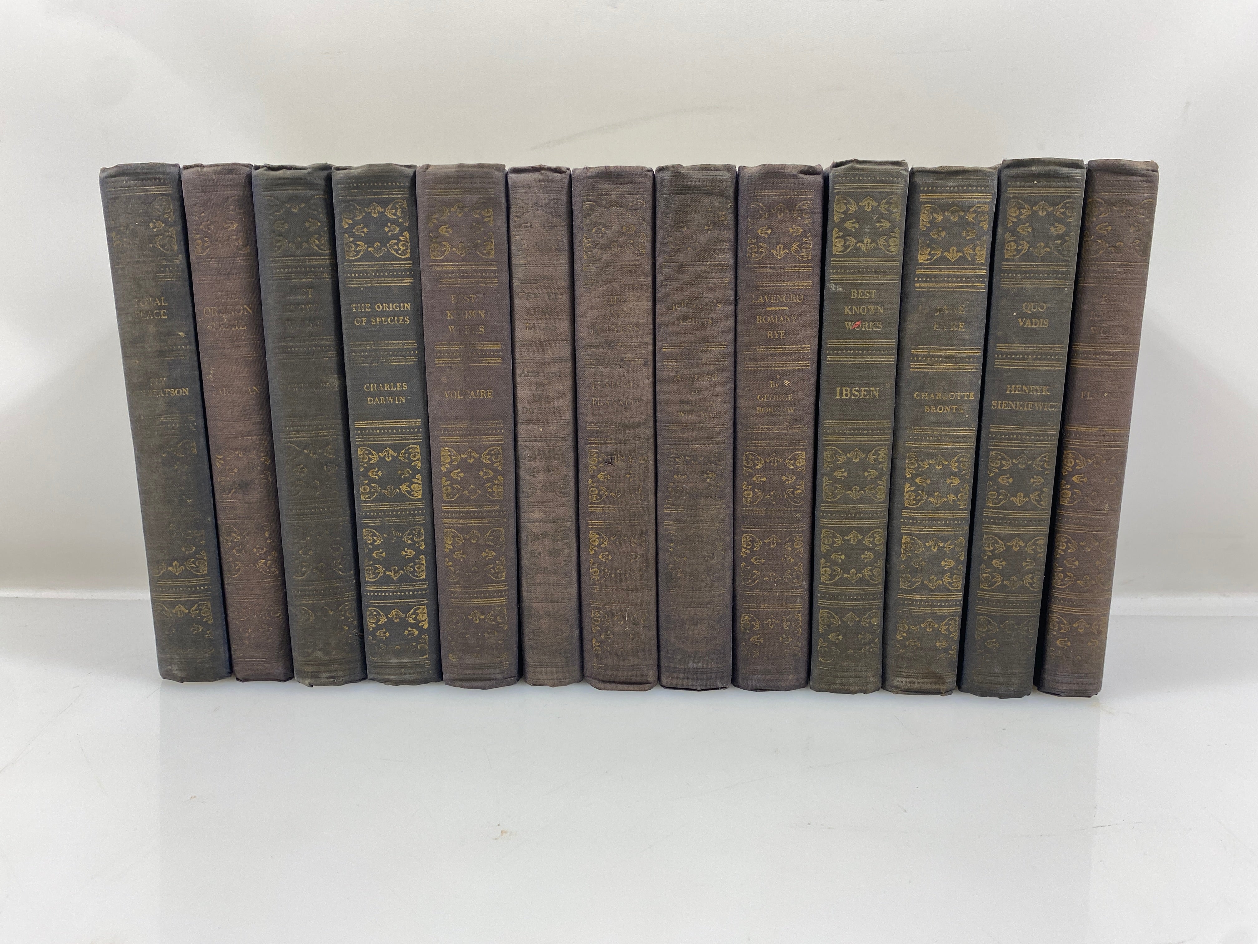 Lot of 13 Vintage Books incl Darwin/Ibsen/Voltaire/Flaubert Various Publishers