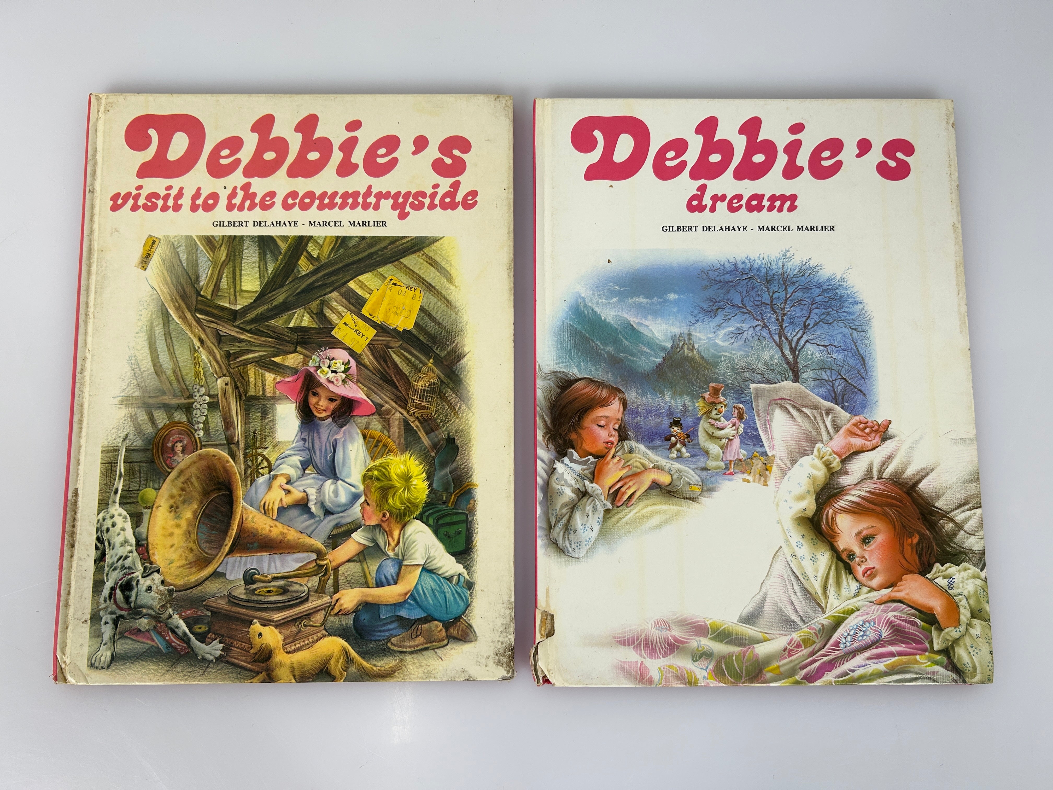 Lot of 2  Classic 1970s Debbie Picture Books Dream & Visit to Countryside HC