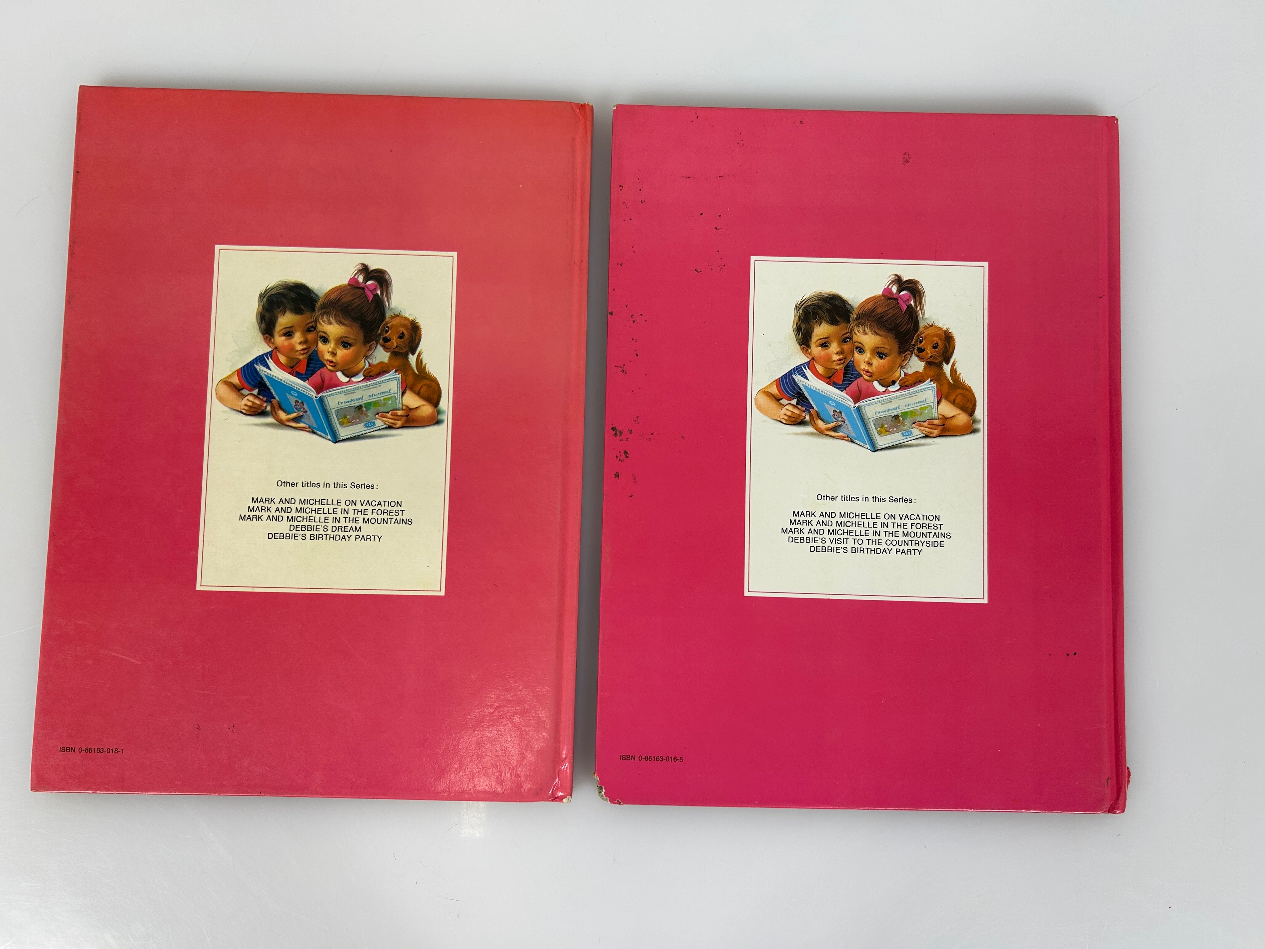 Lot of 2  Classic 1970s Debbie Picture Books Dream & Visit to Countryside HC